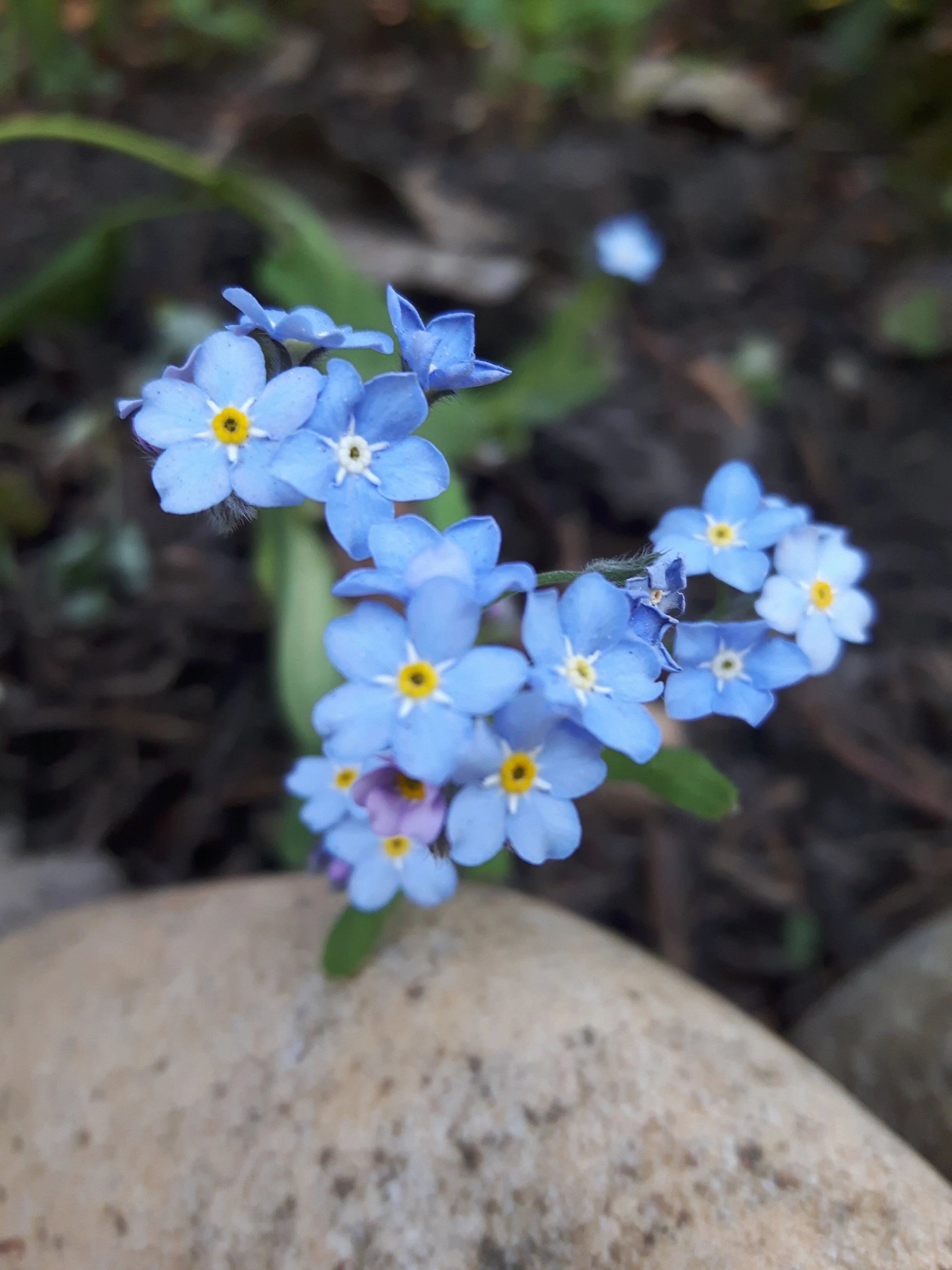 20170530_202517.jpg