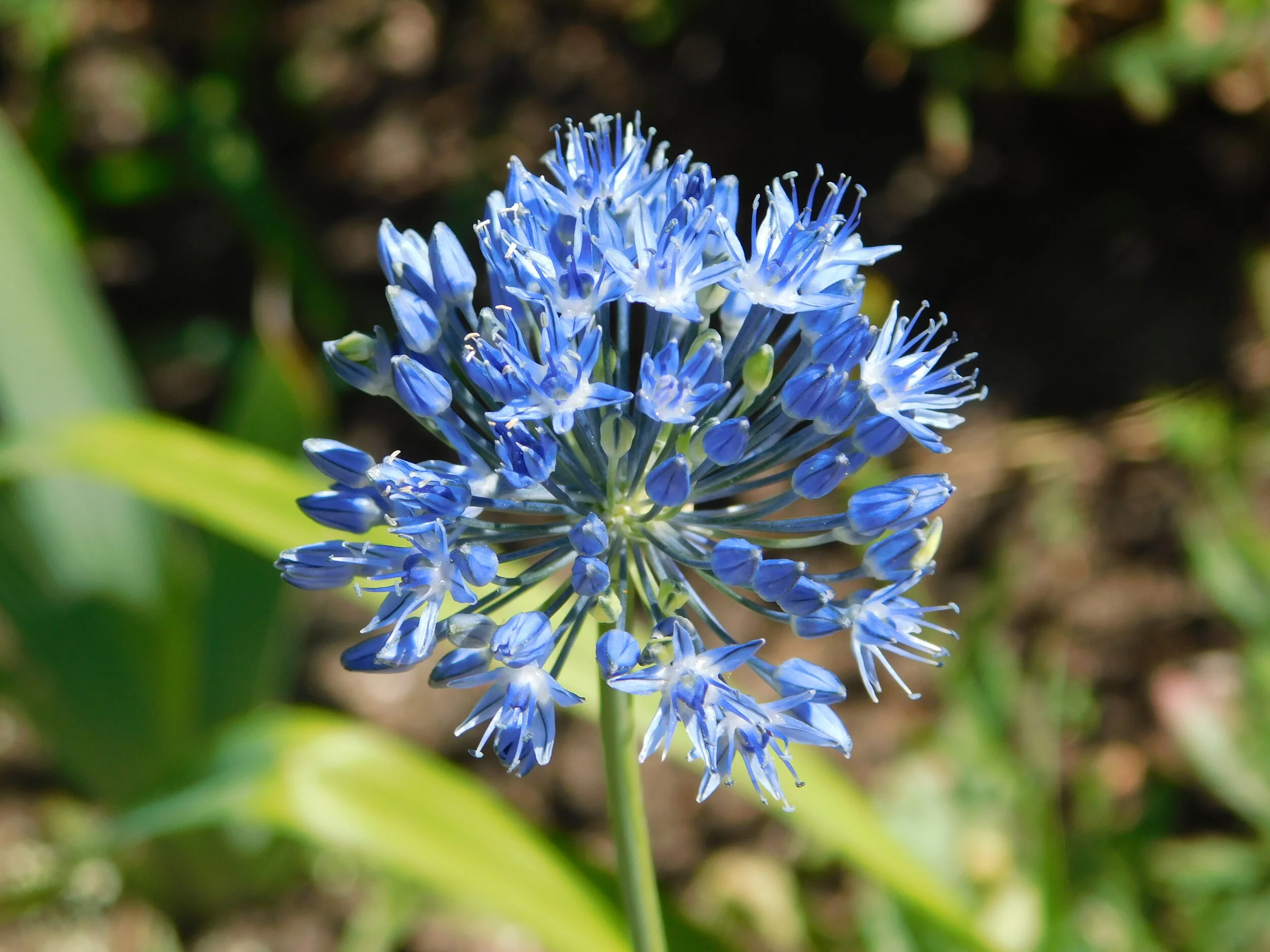 DSCN1822.JPG