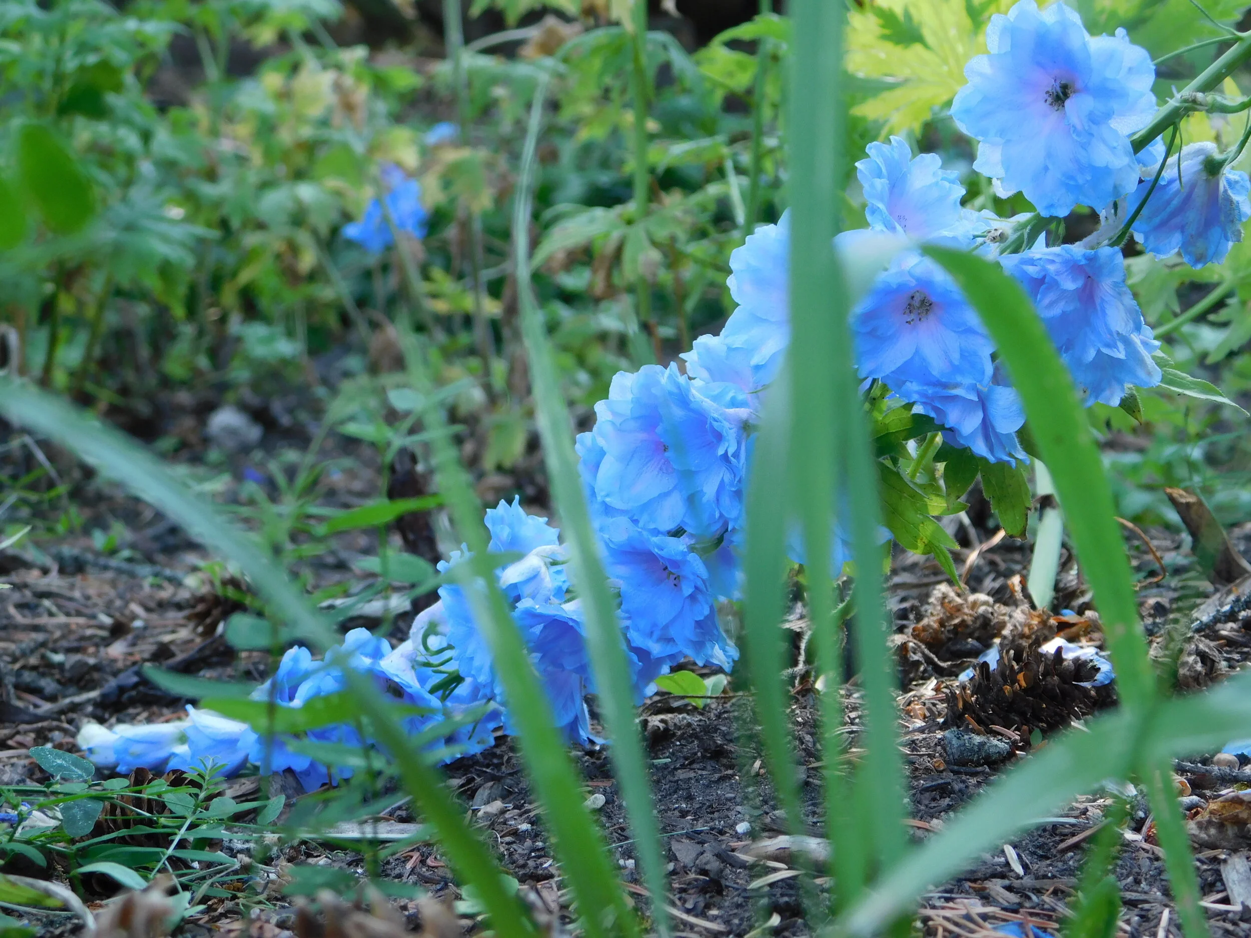 DSCN2260.JPG