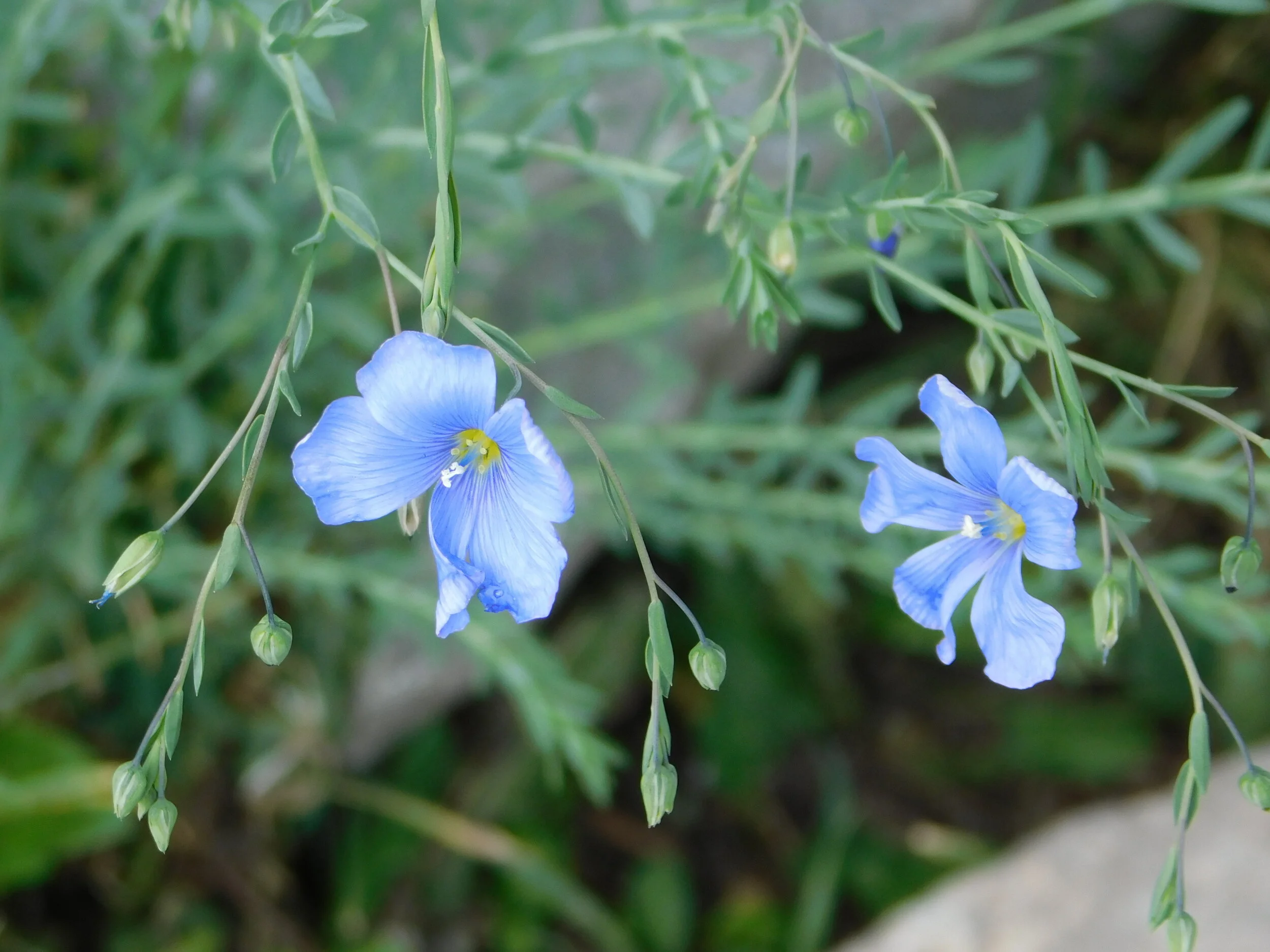 DSCN4607.JPG