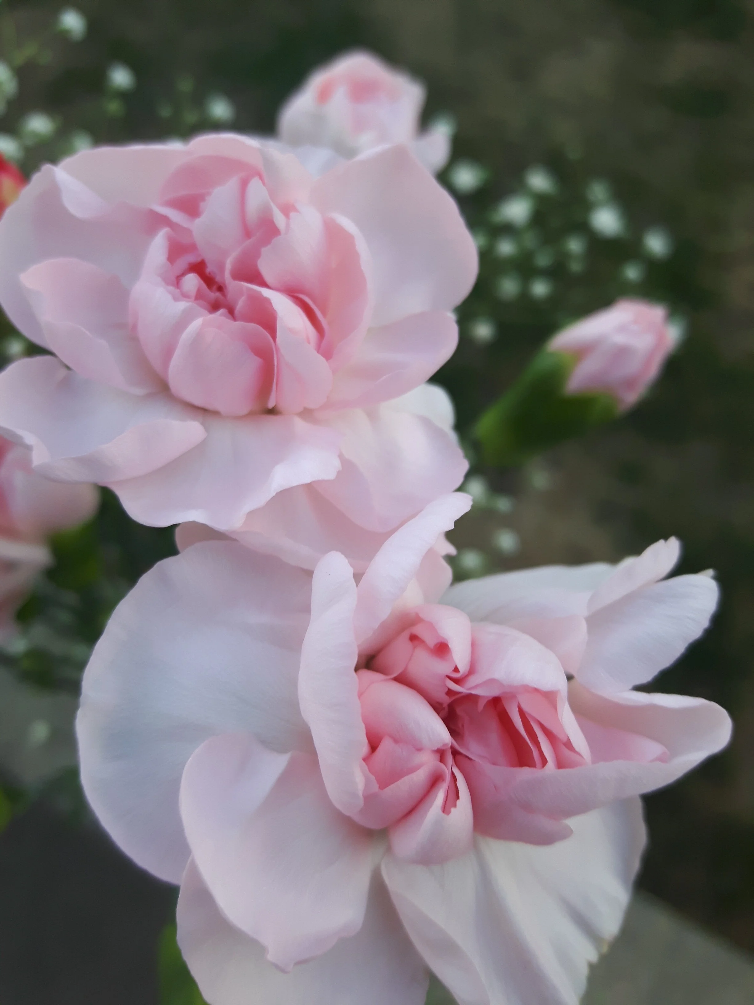 20170507_190222.jpg