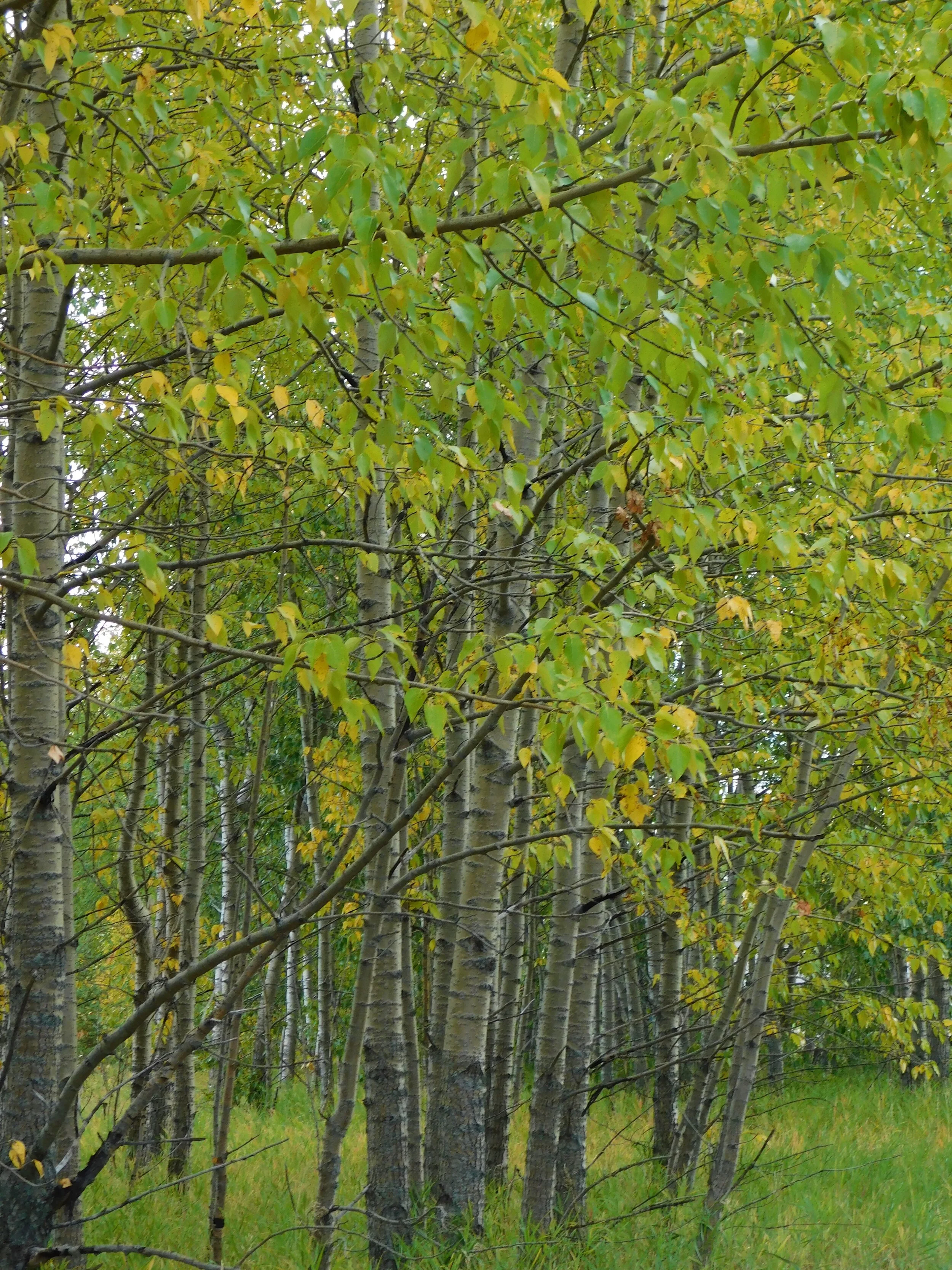 DSCN3277.JPG