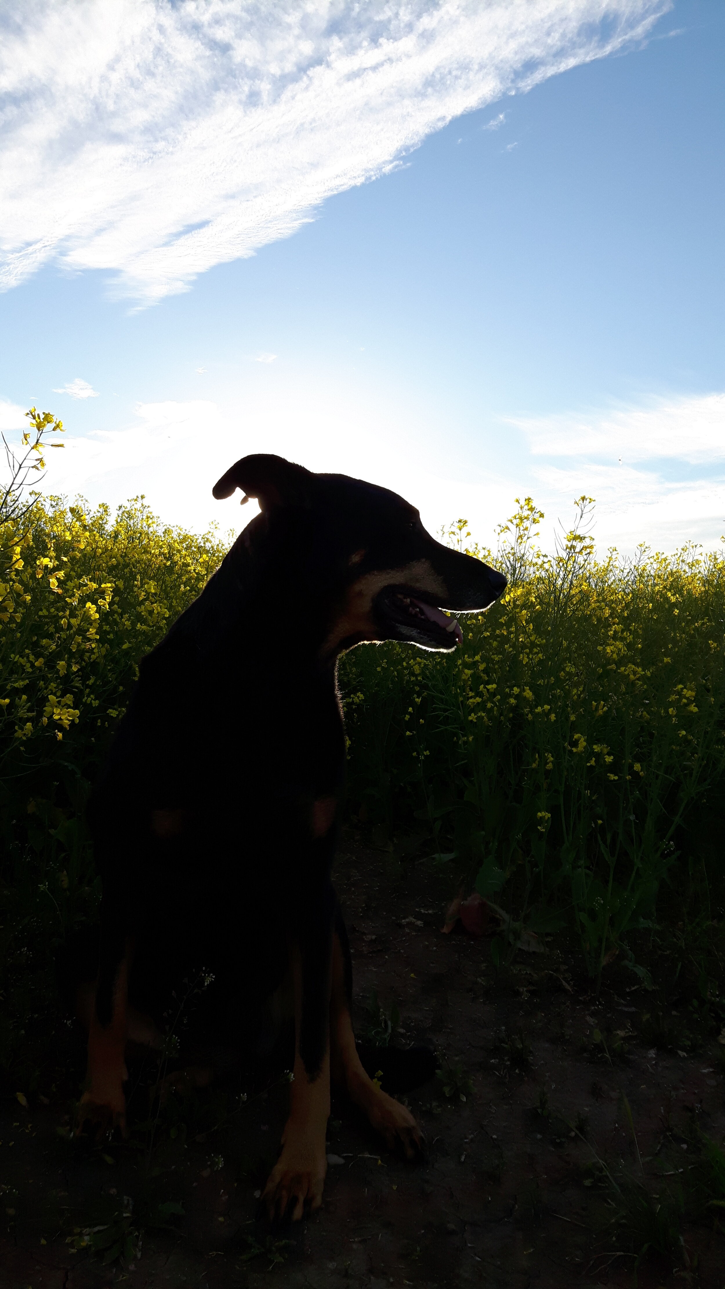 20160724_202953.jpg