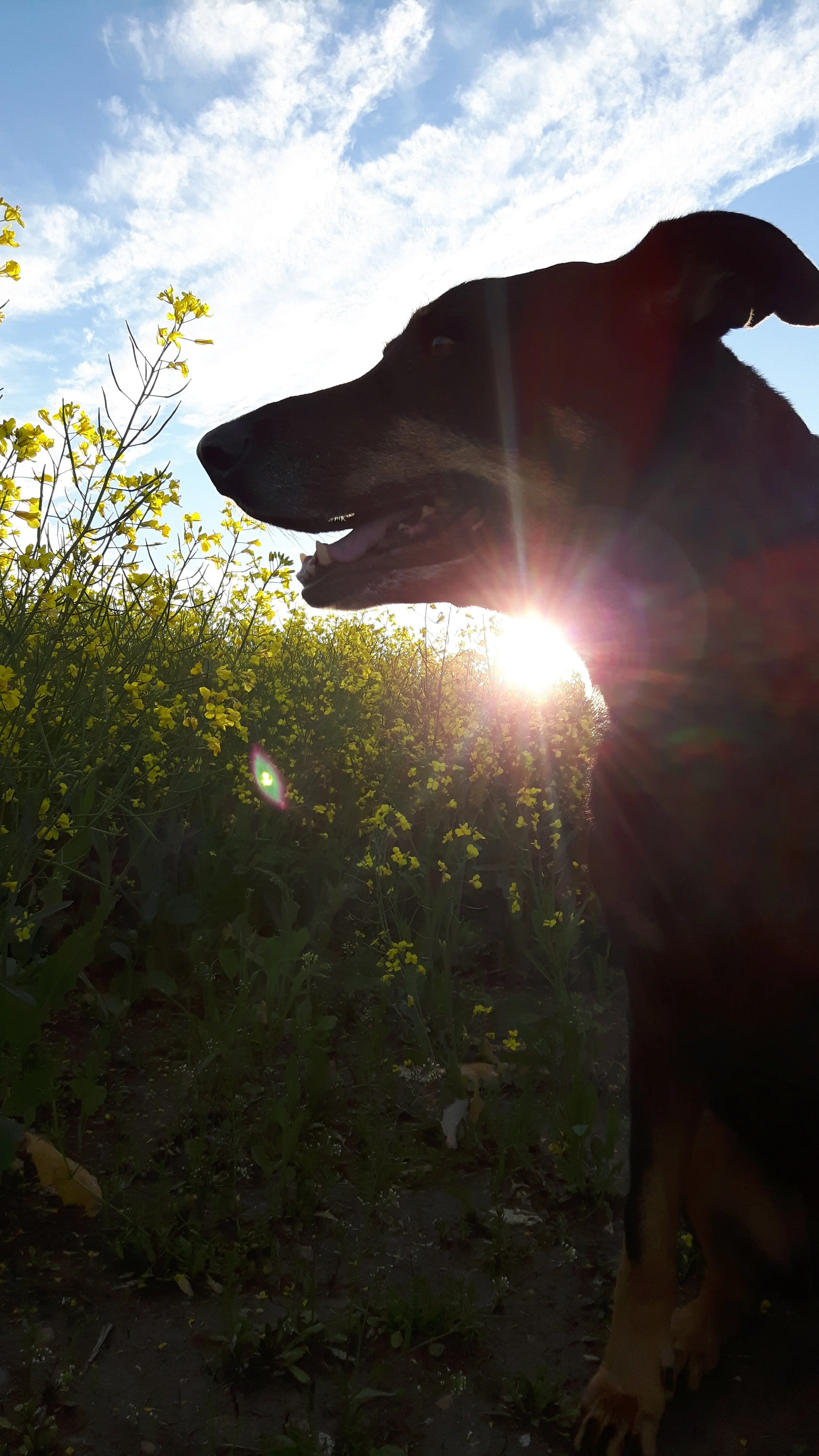 20160724_202920.jpg