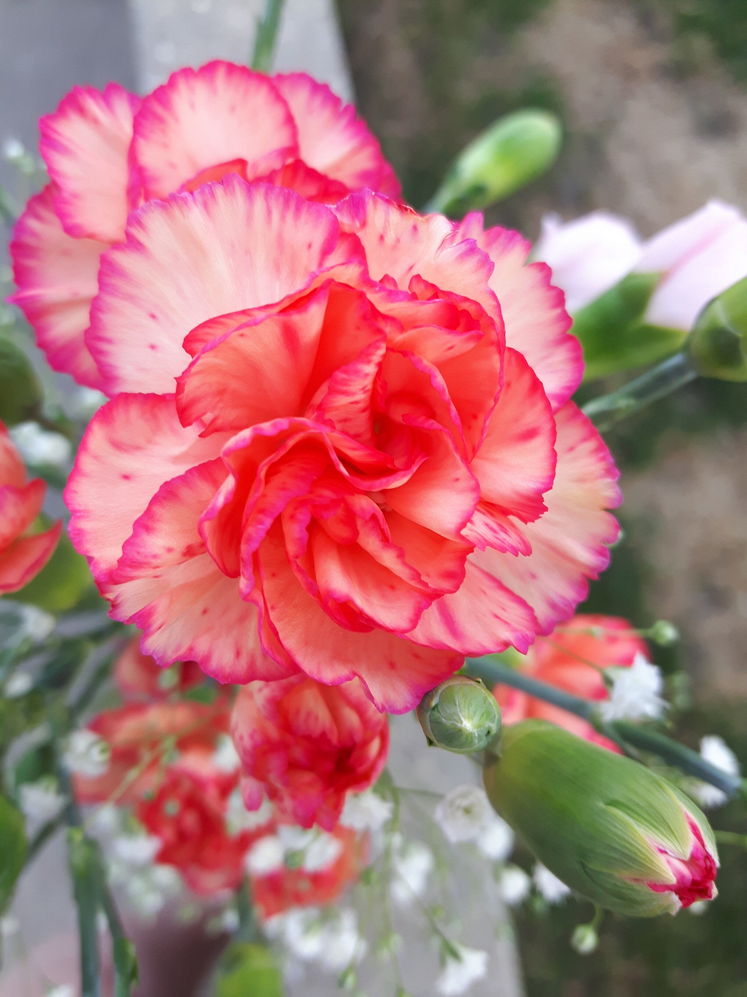 20170507_185404.jpg
