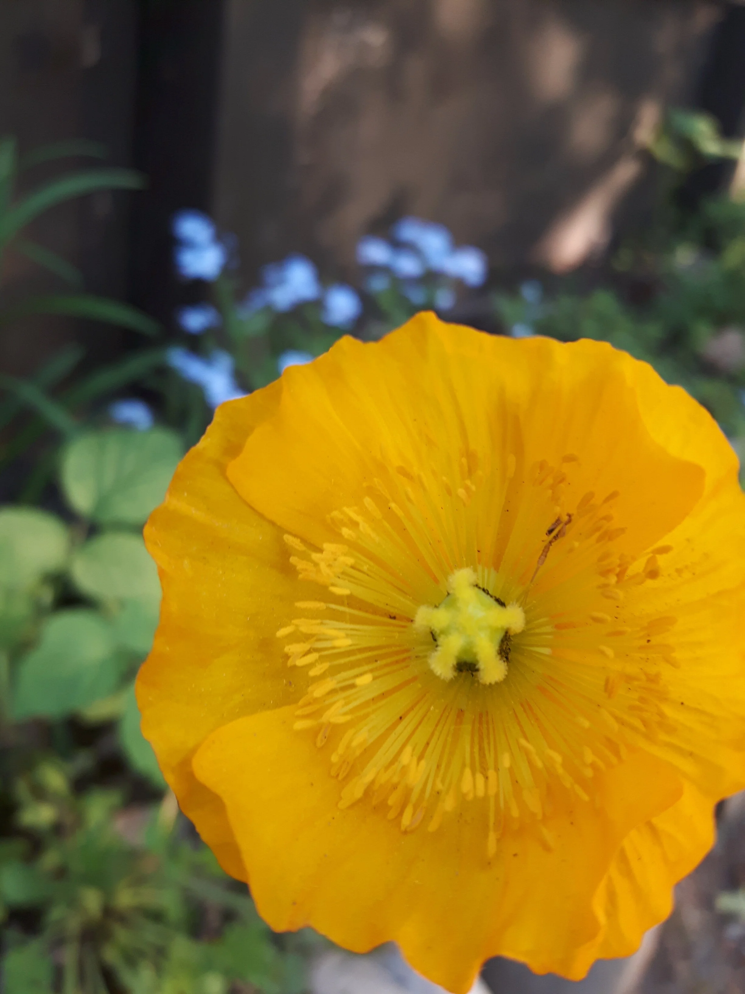 20170530_202450.jpg