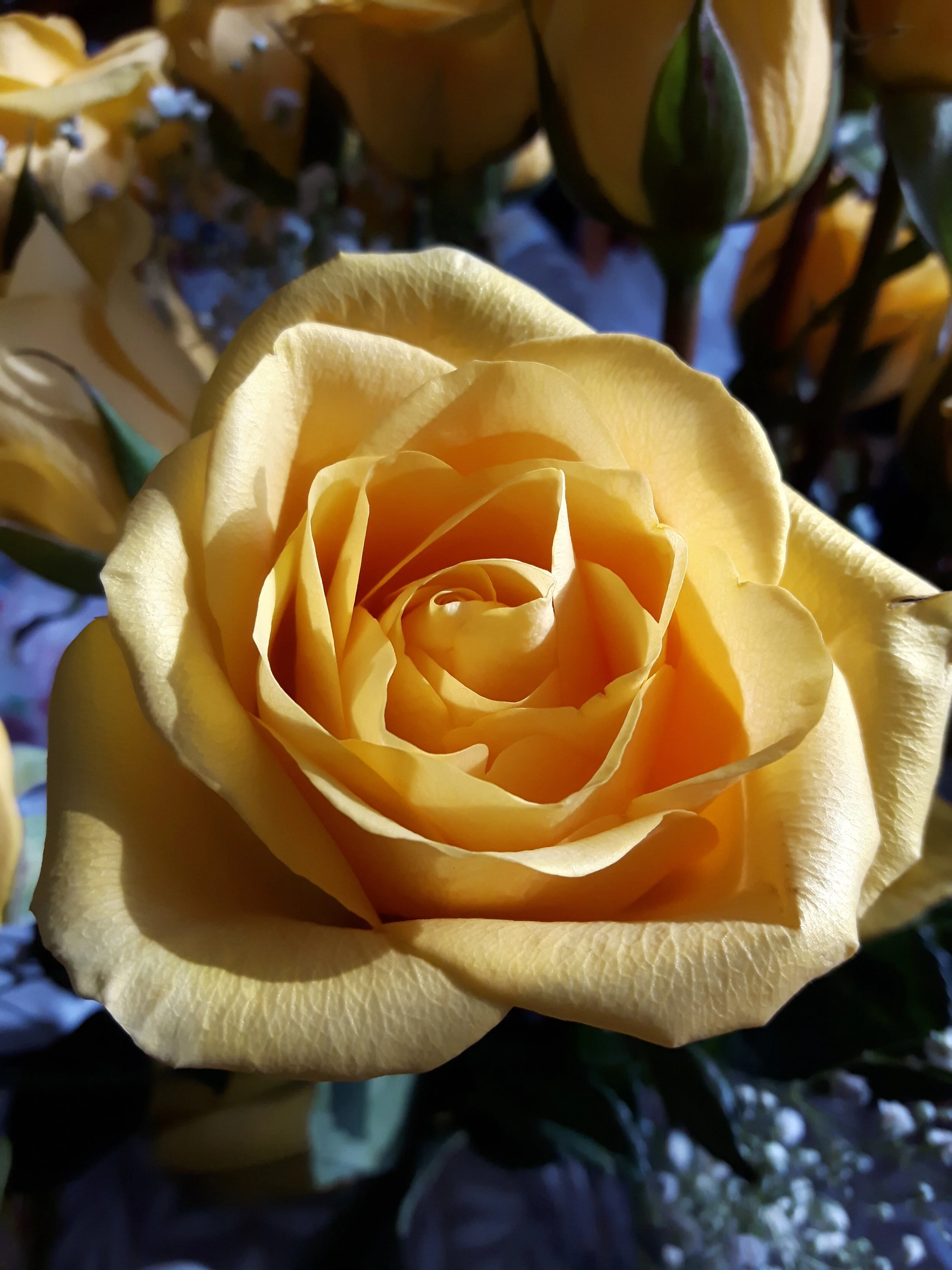 20180127_103316.jpg