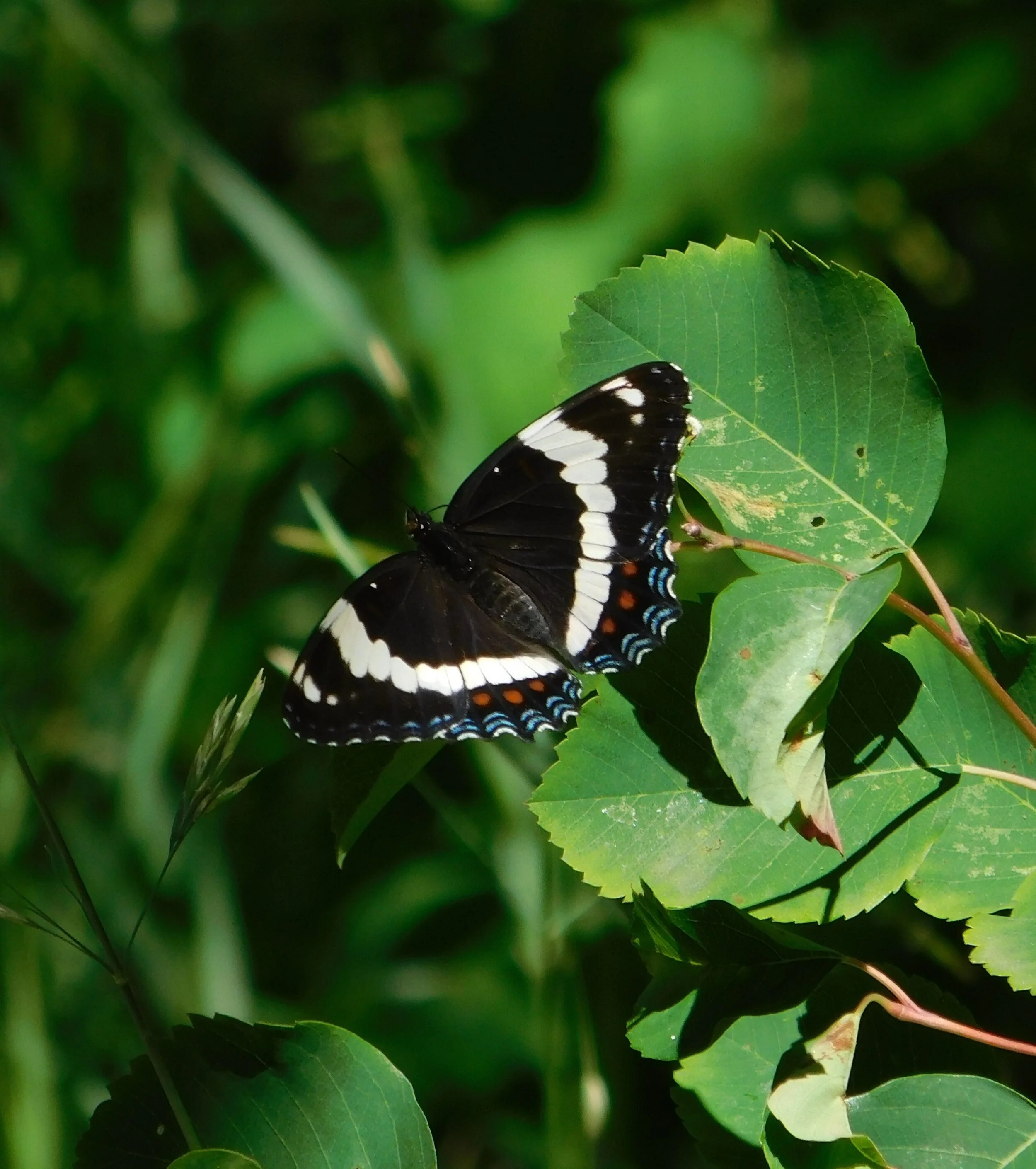 DSCN4721.JPG