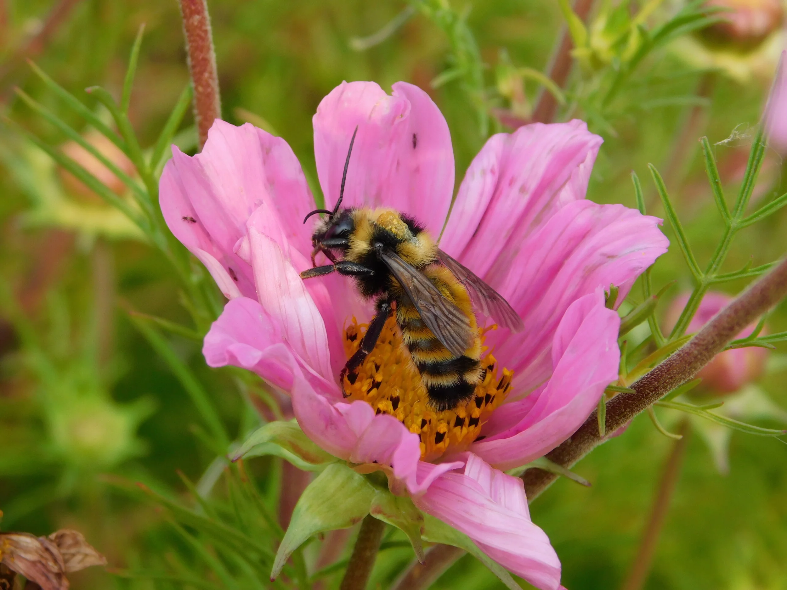 DSCN5218.JPG