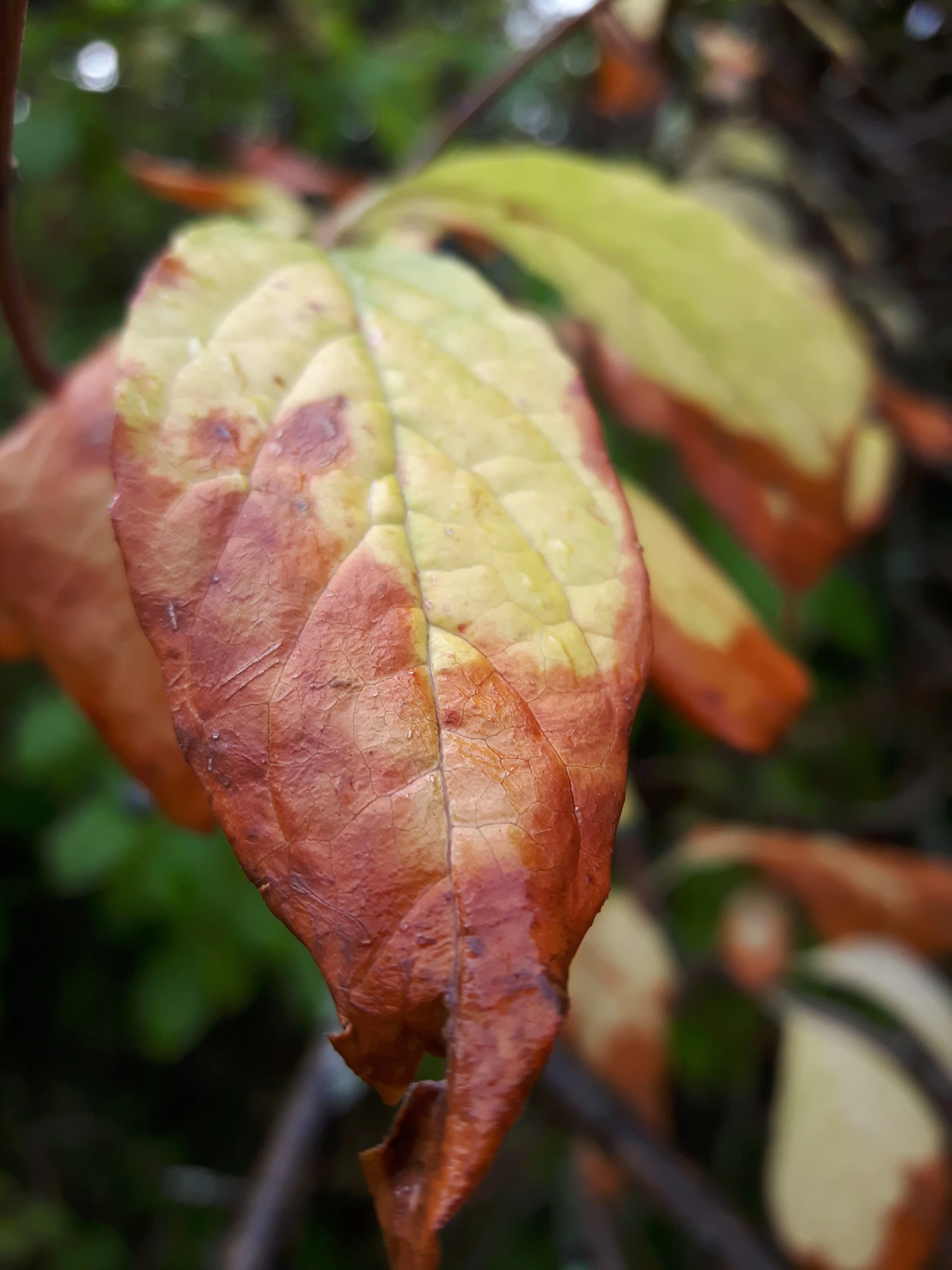 20170914_105455.jpg