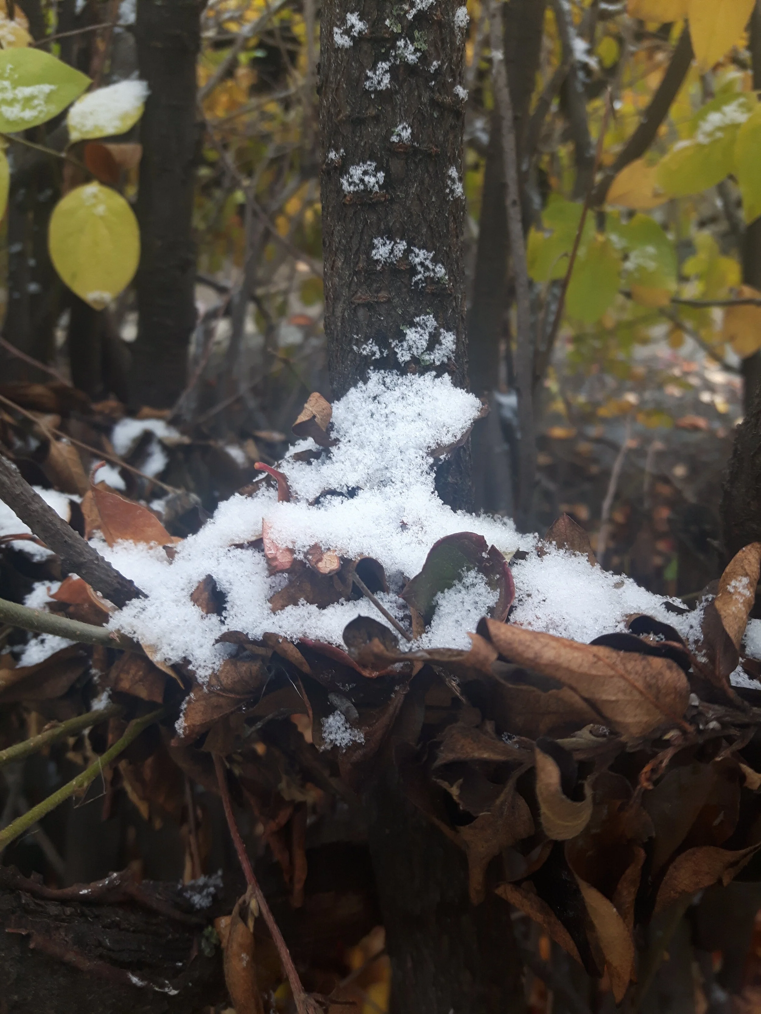 20171012_120426.jpg