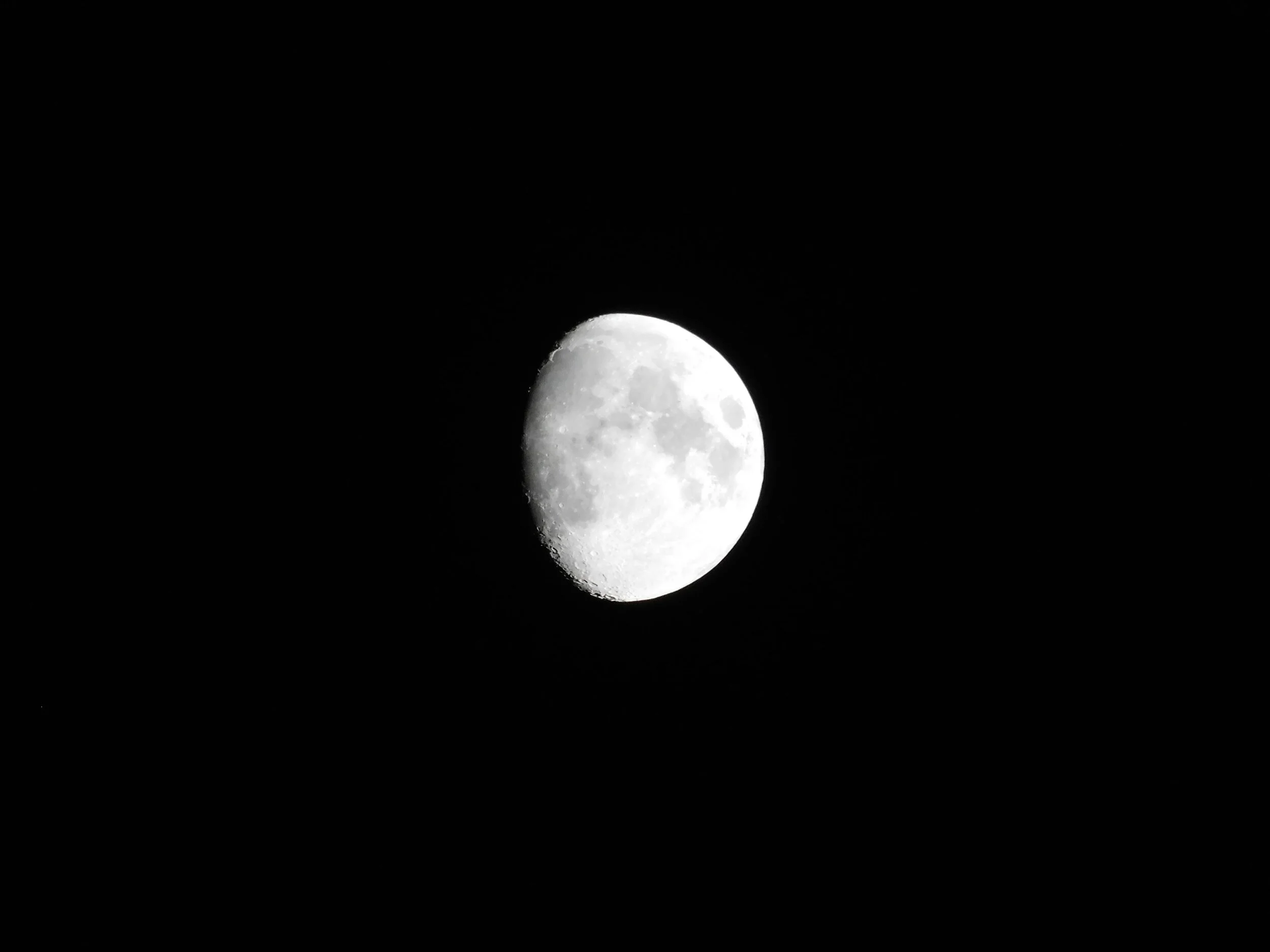 DSCN5199.JPG