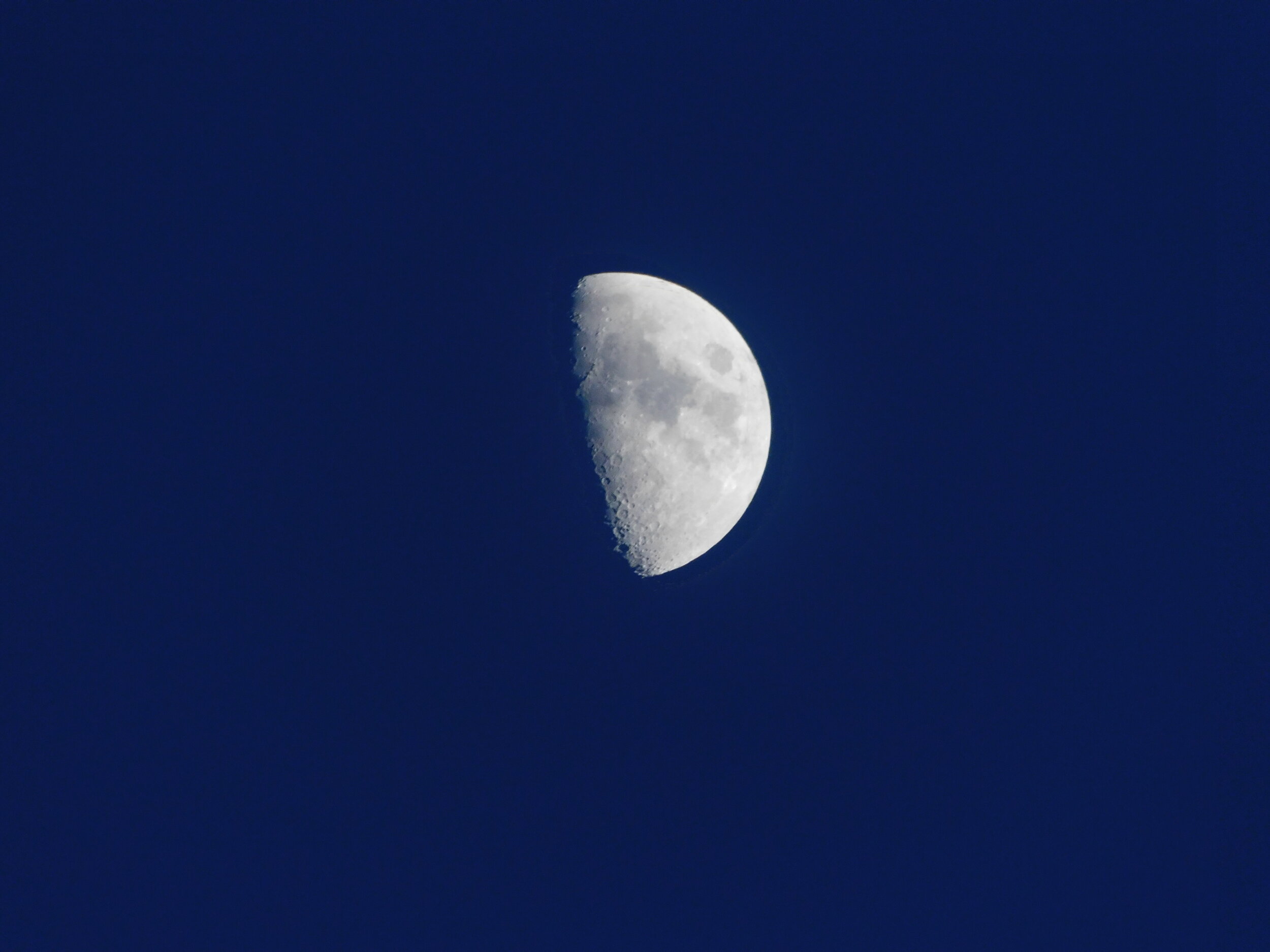 DSCN0693.JPG