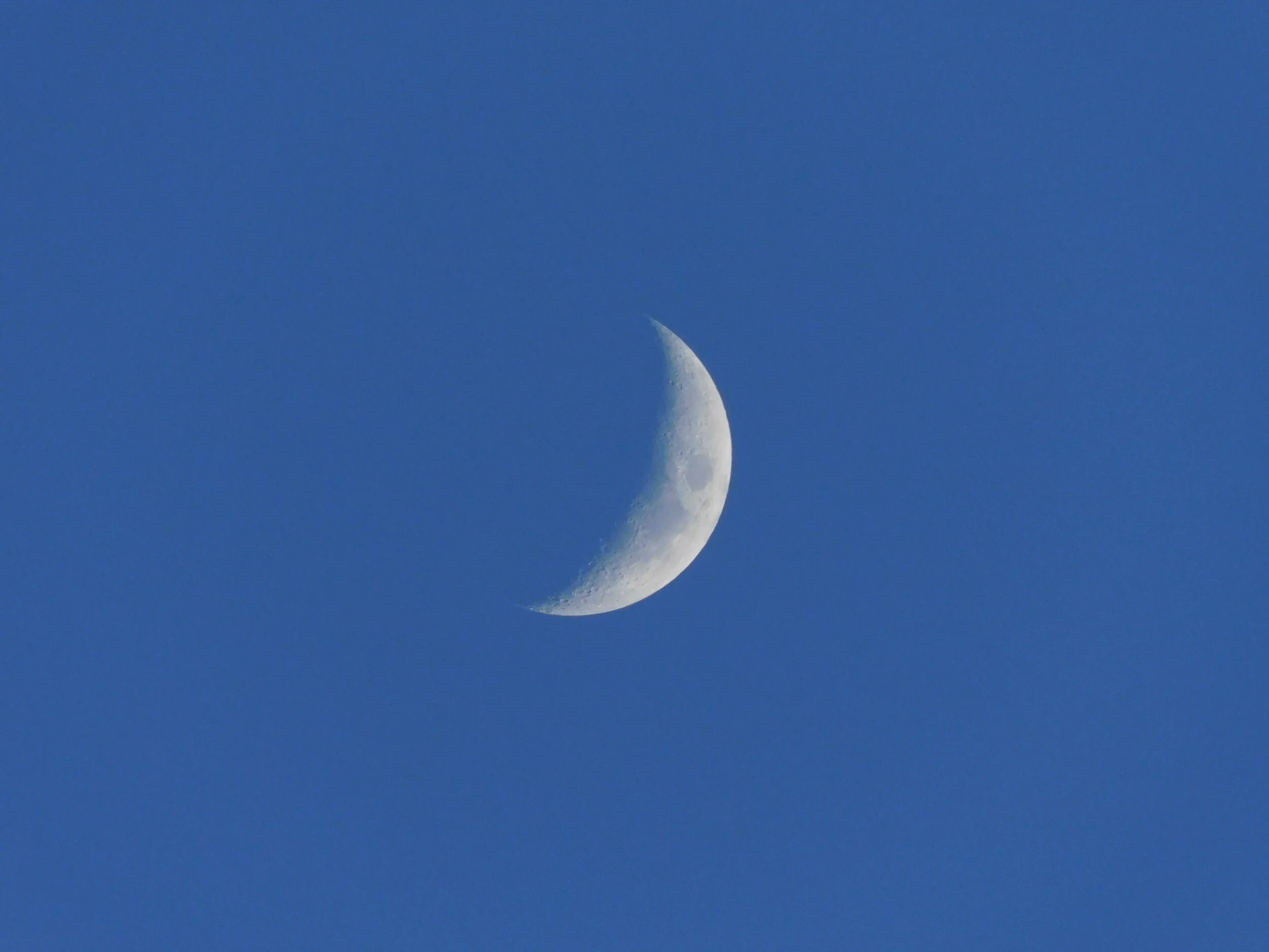 DSCN0651.JPG