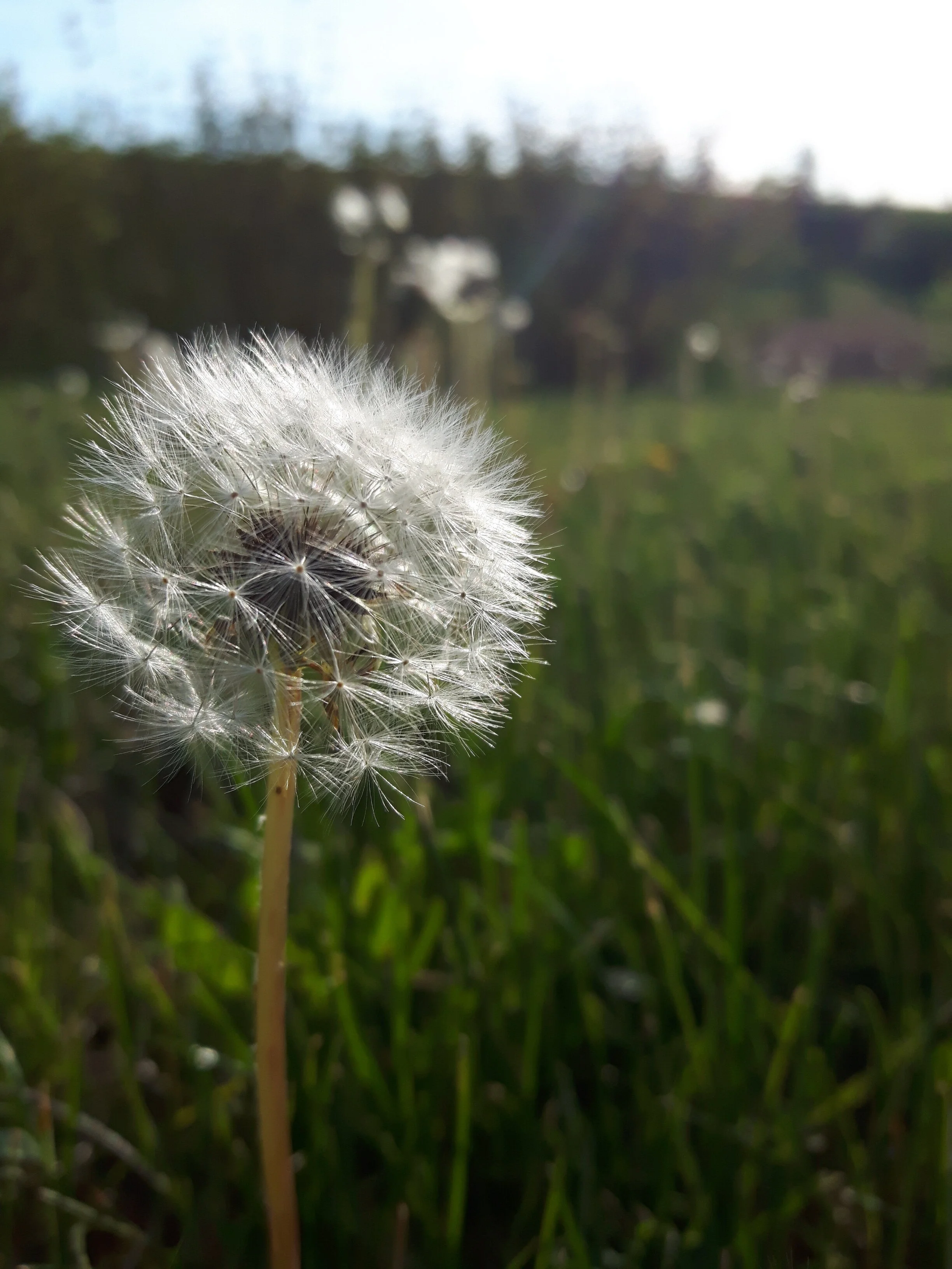 20170530_193935.jpg