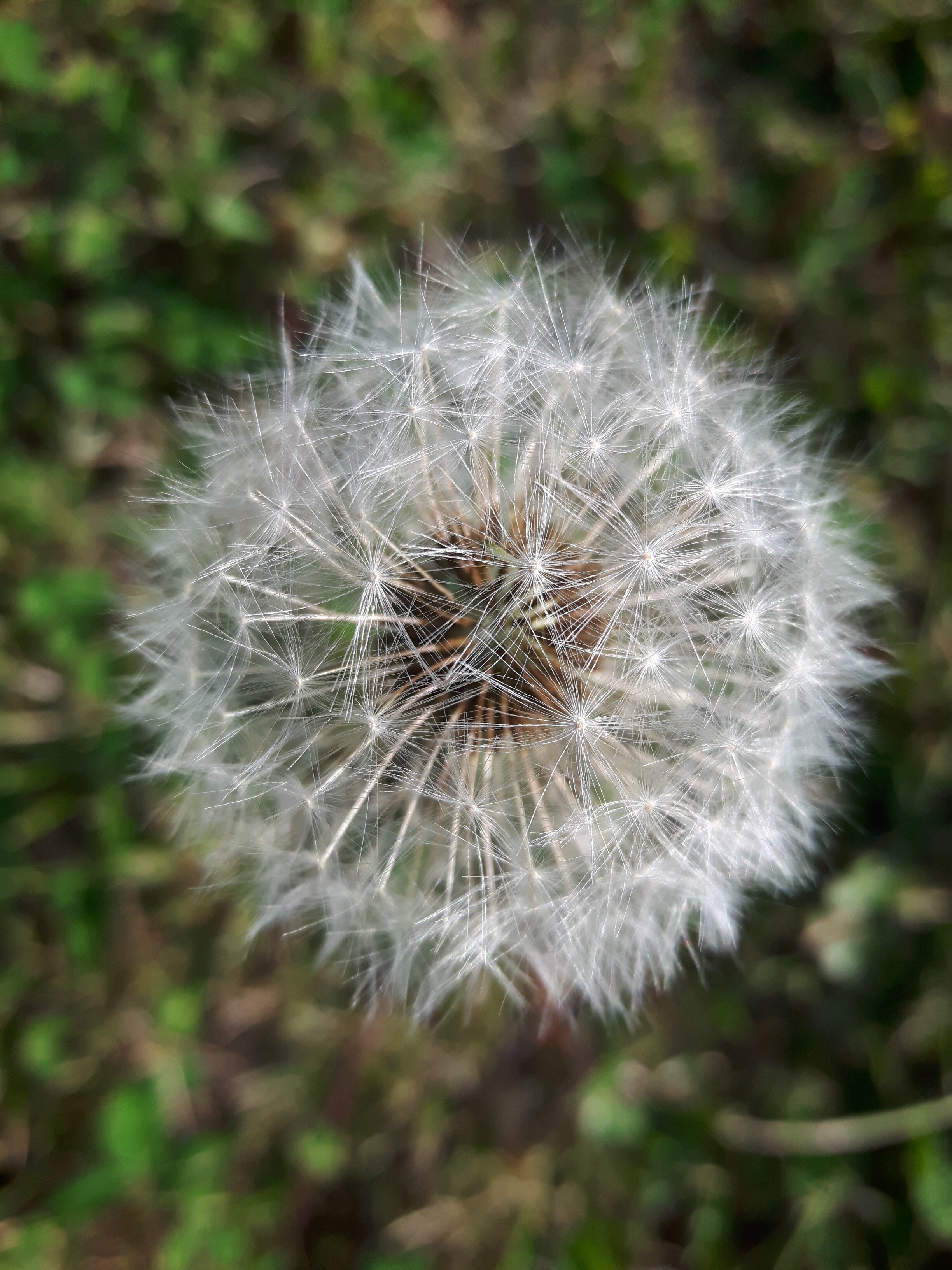 20170530_193957.jpg
