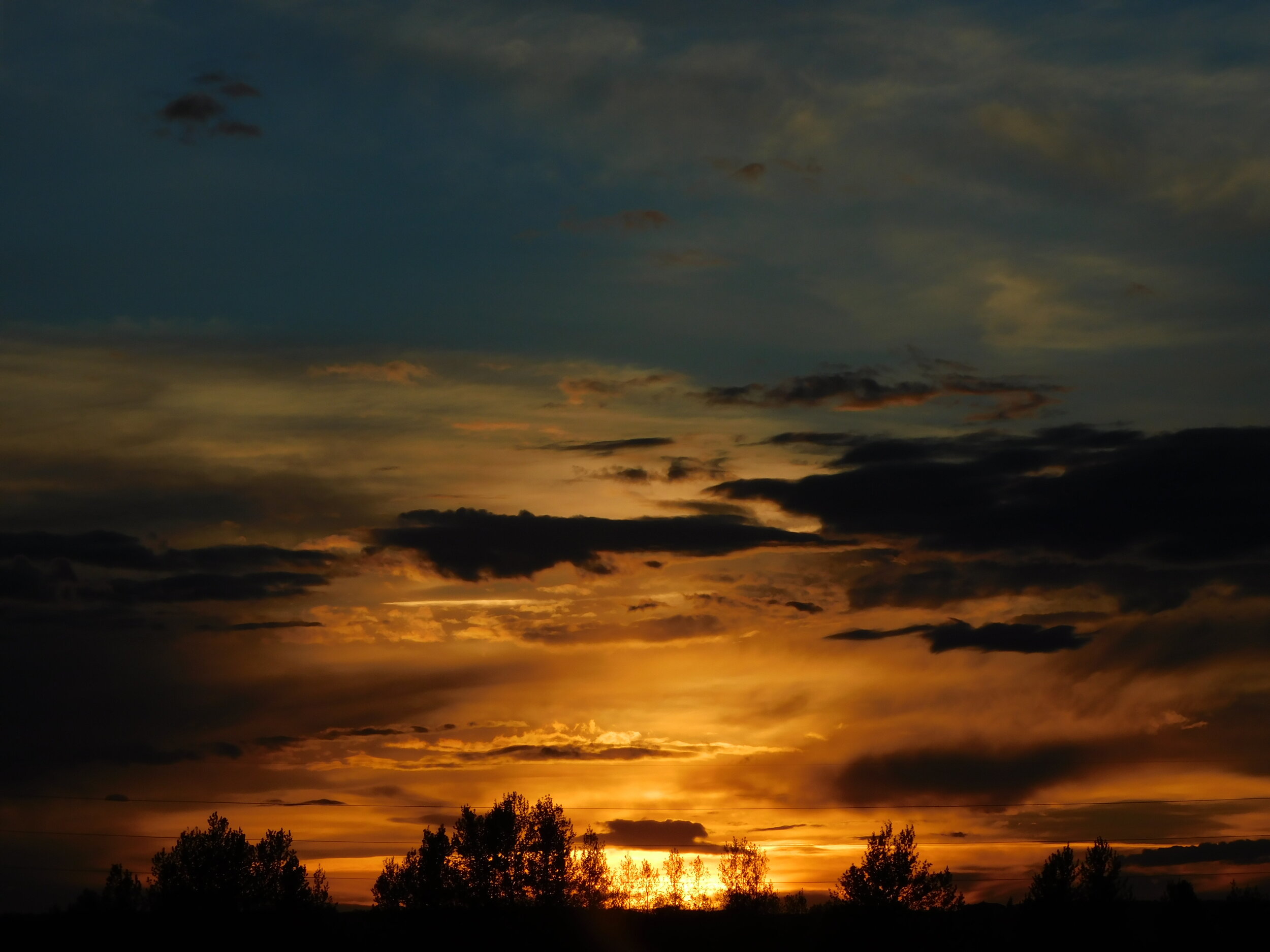 DSCN1195.JPG