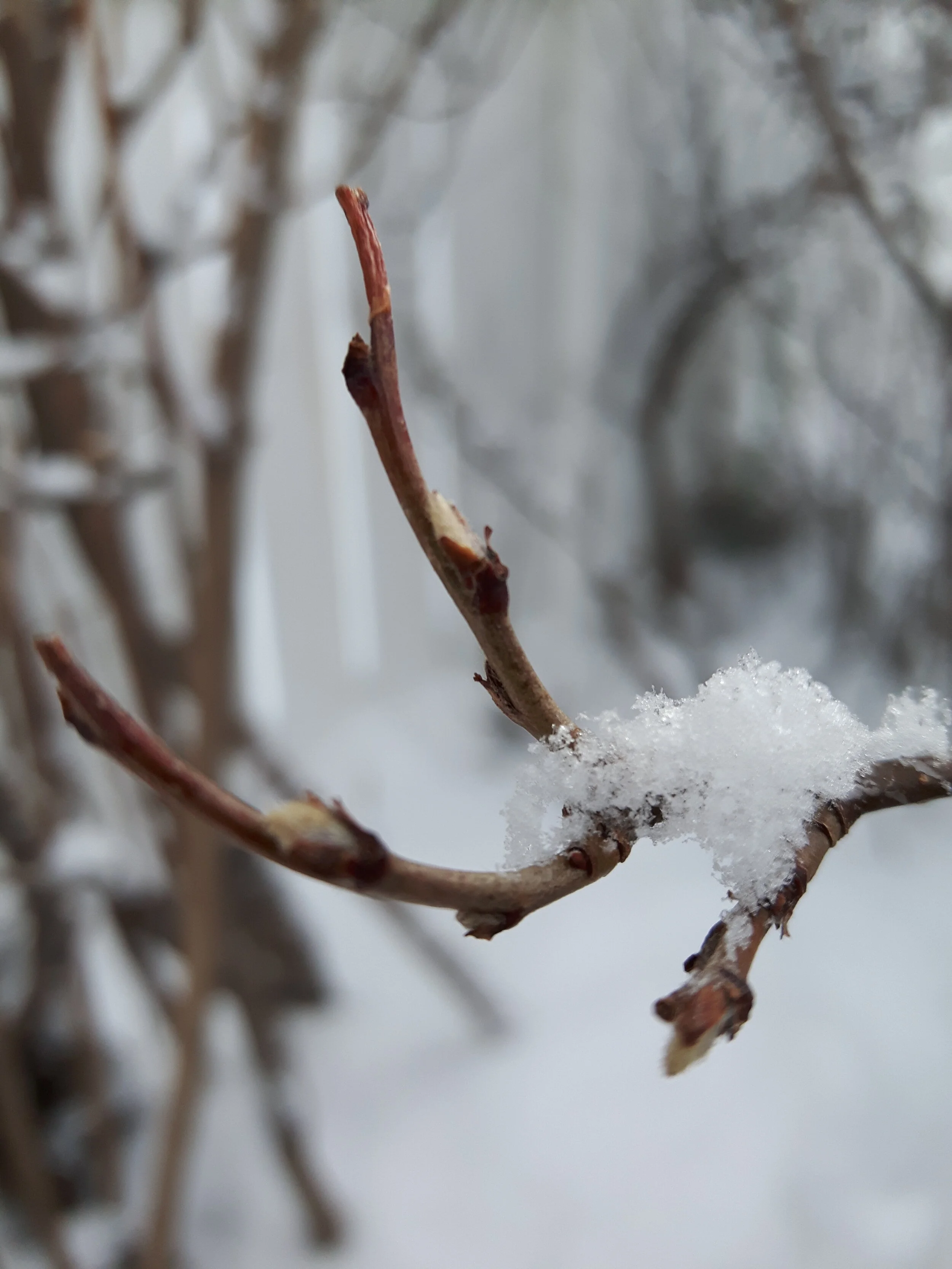 20180214_080437.jpg