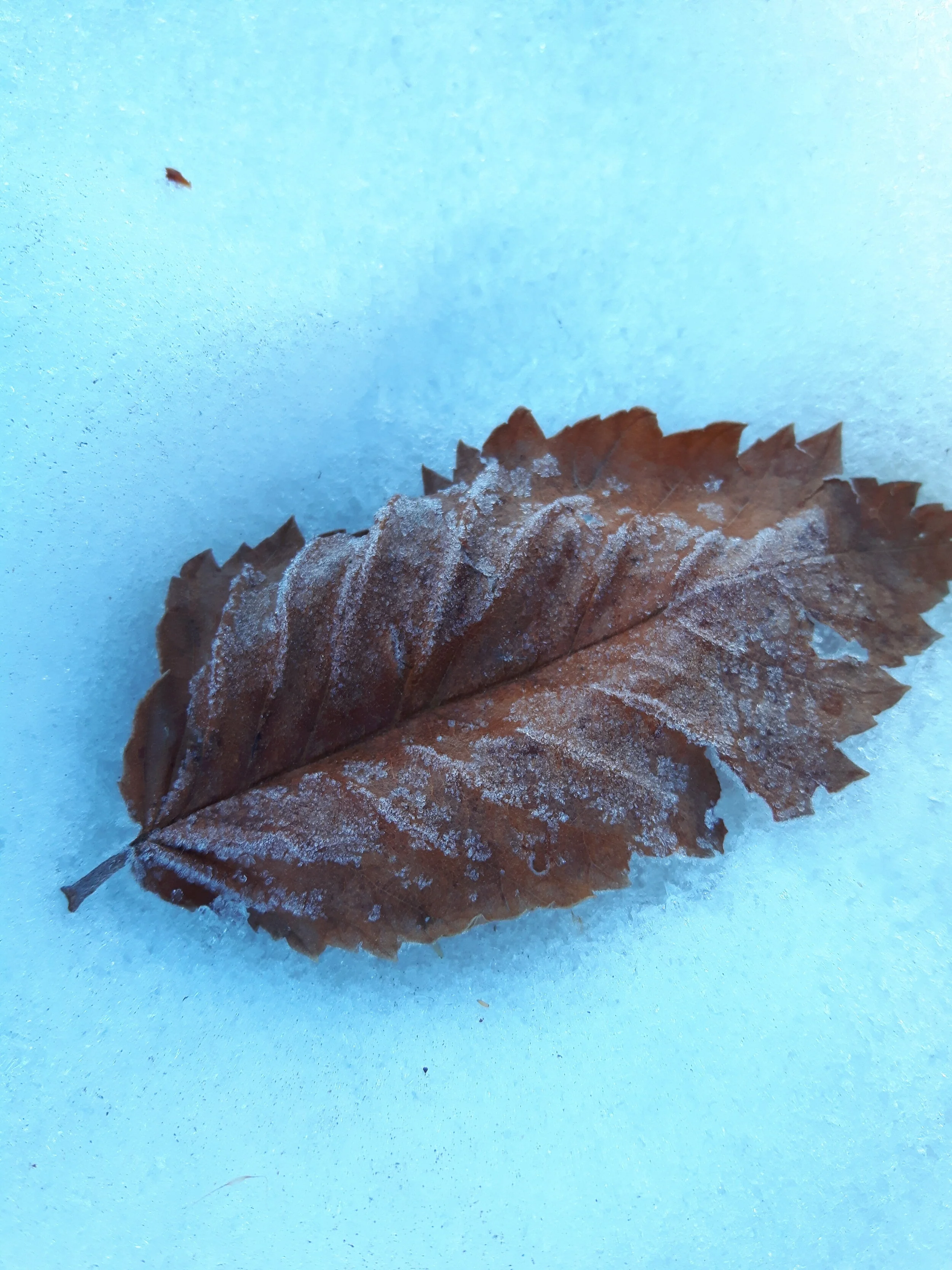 20171213_103905.jpg