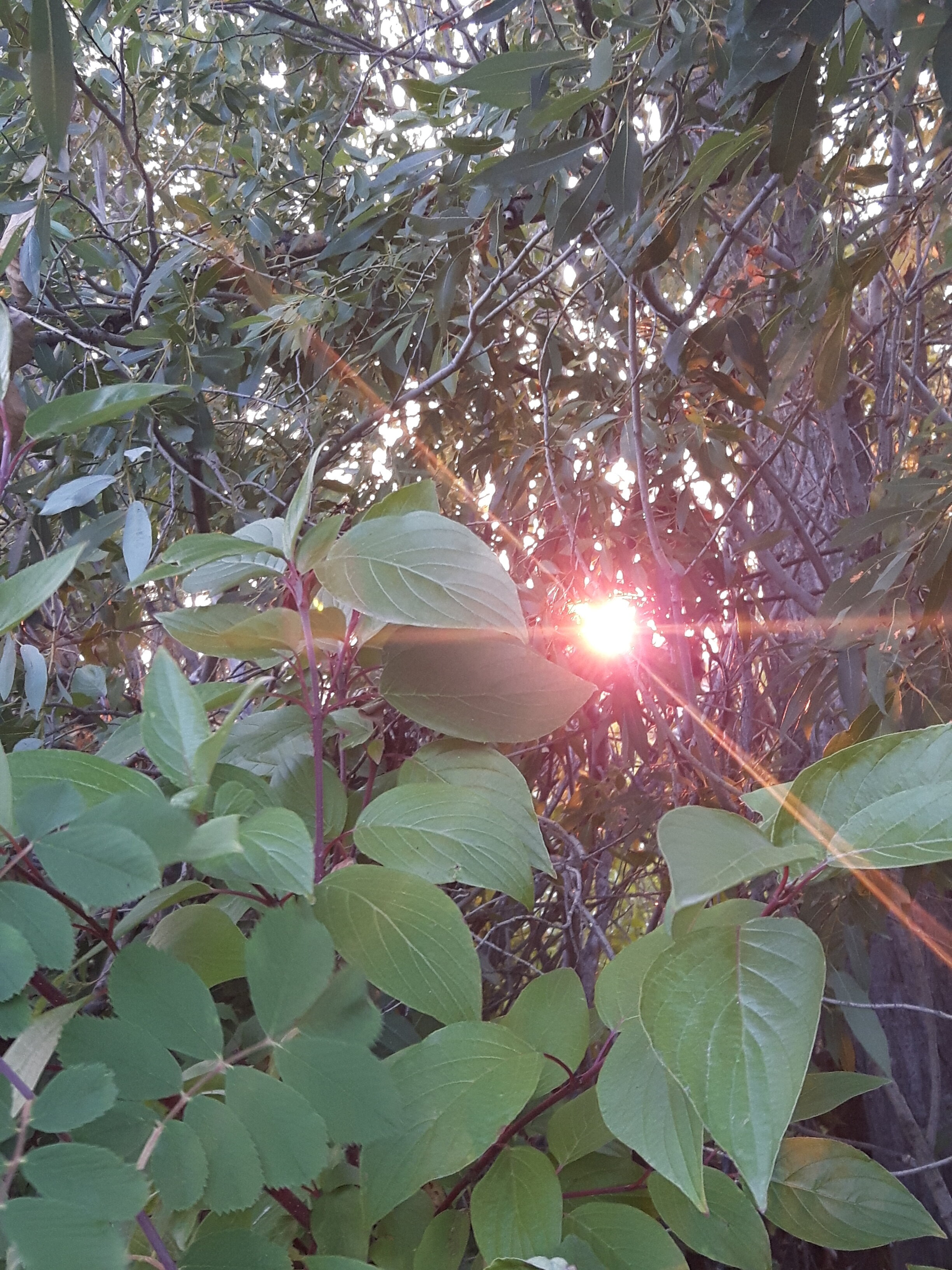 20170829_193655.jpg