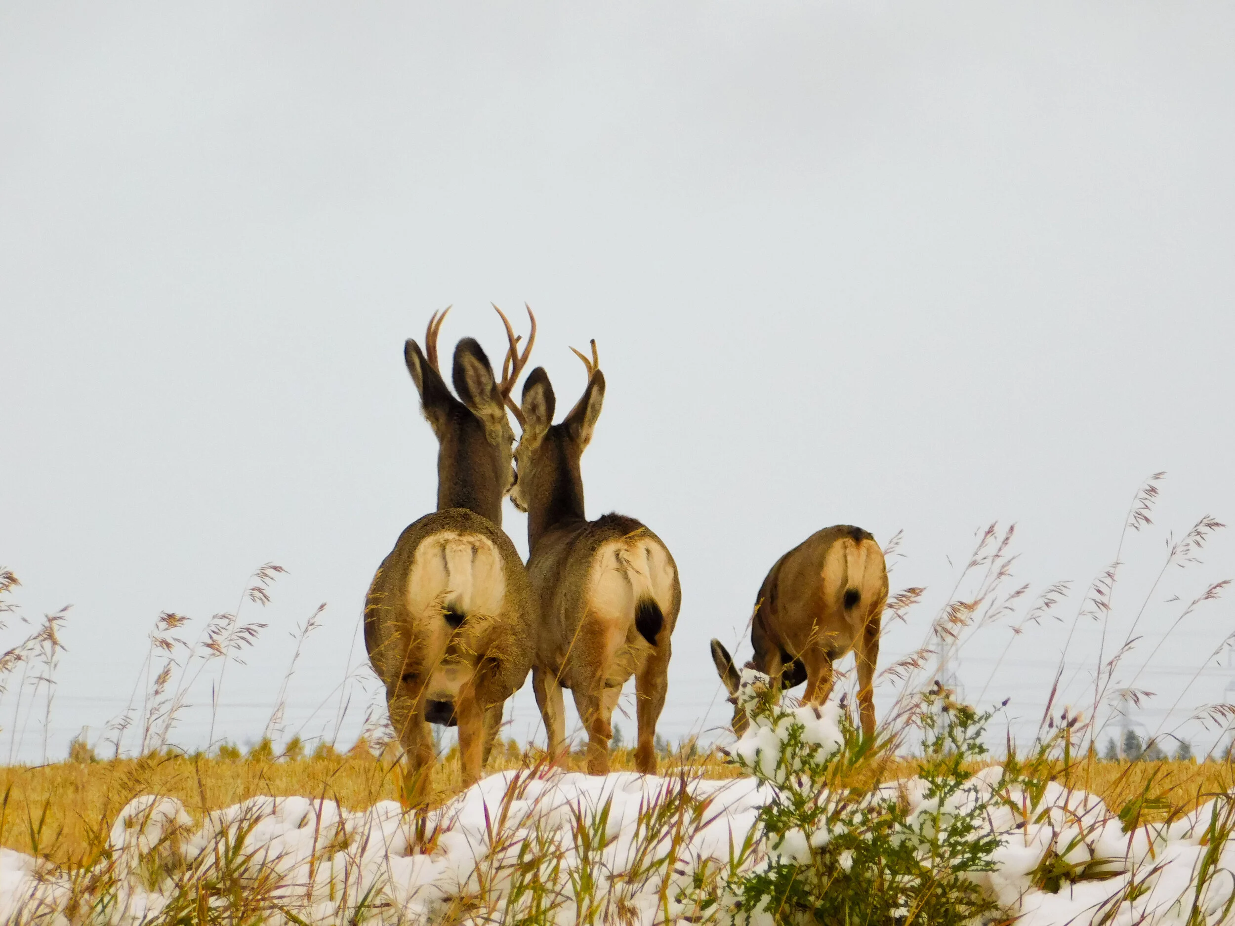 DSCN5569.jpg