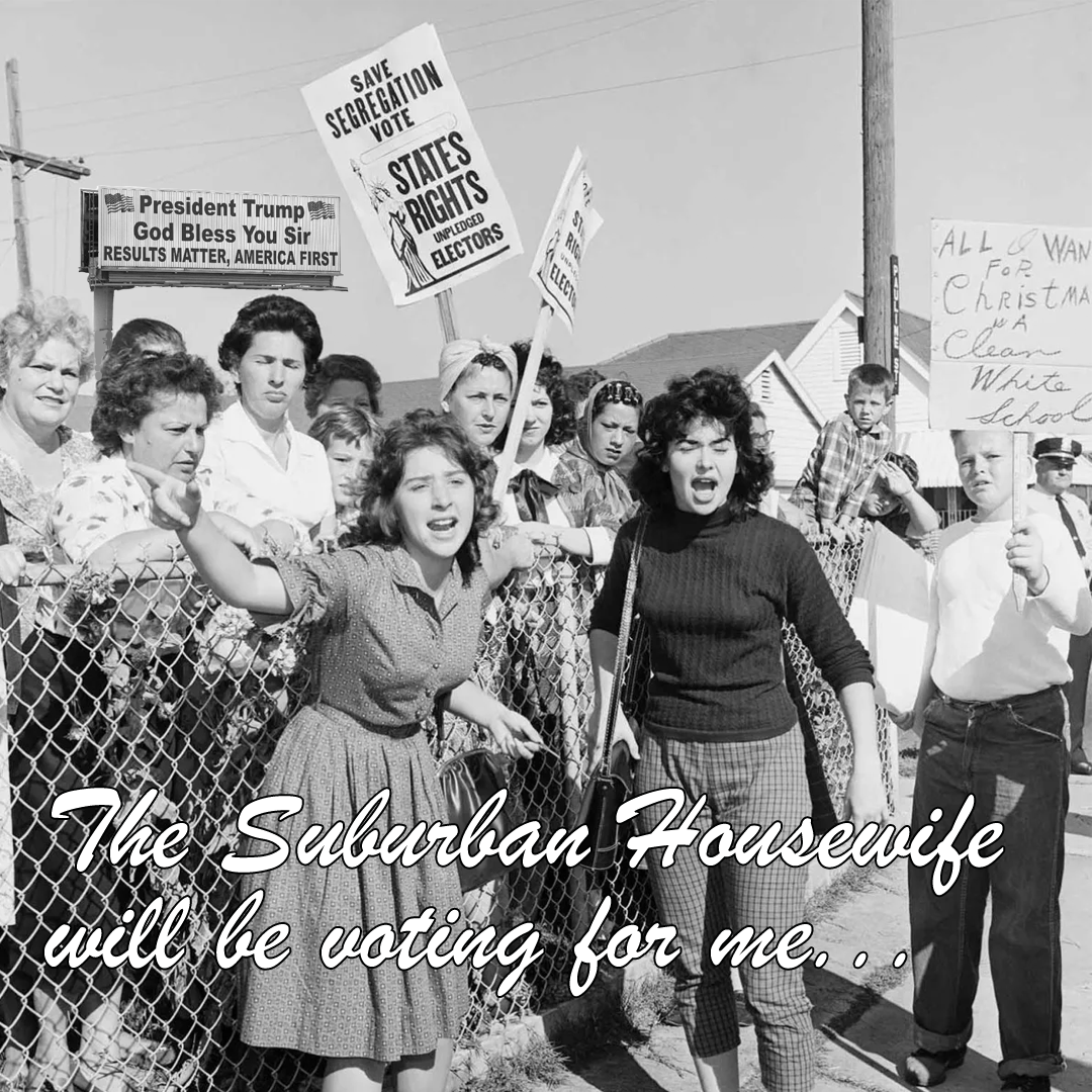 Trump bragged to suburban women of ending an anti-discrimination policy, calling it a “program where low-income housing would invade their neighborhood".