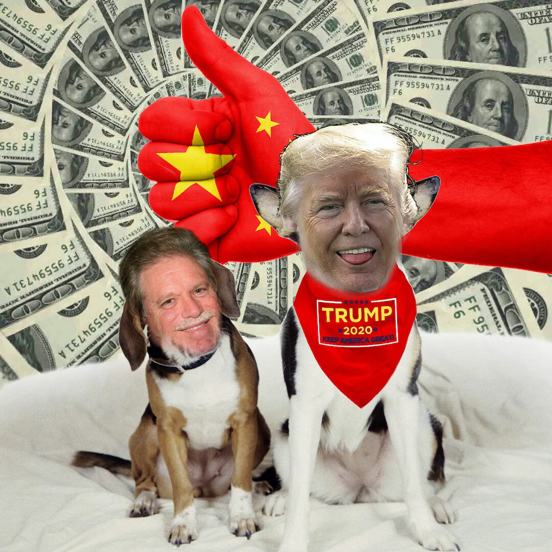 Court documents revealed a senior Chinese government official enlisted top RNC fundraiser Elliott Broidy in 2017 to lobby Trump to advocate for the removal of Guo Wengui, exiled in U.S.