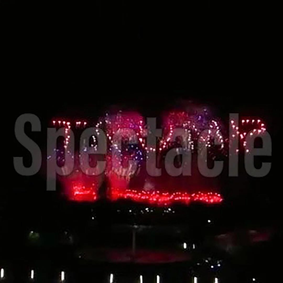 "TRUMP 2020" fireworks violated the Hatch Act. 