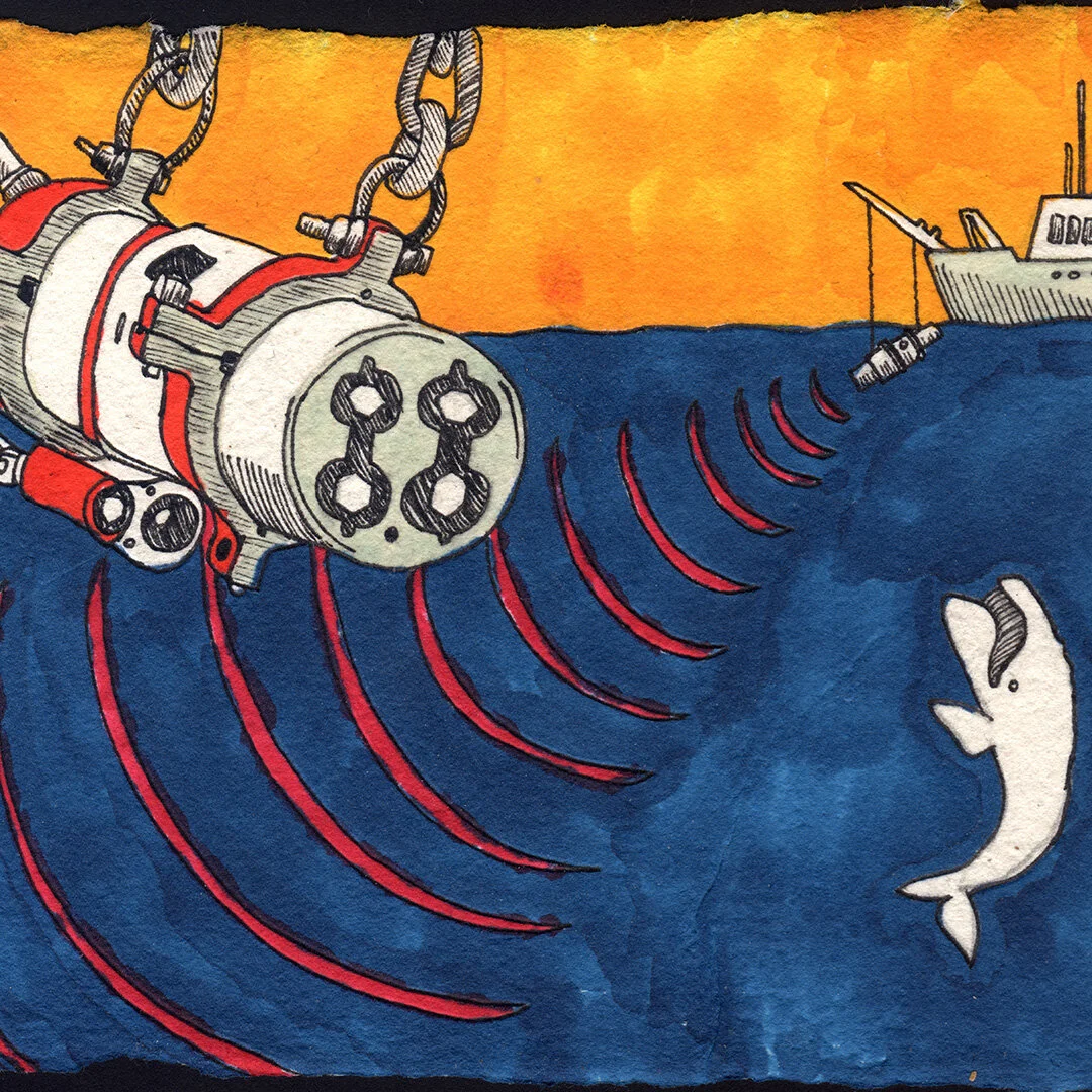 The Trump Administration authorized five companies to use seismic airguns to search for offshore oil and gas.