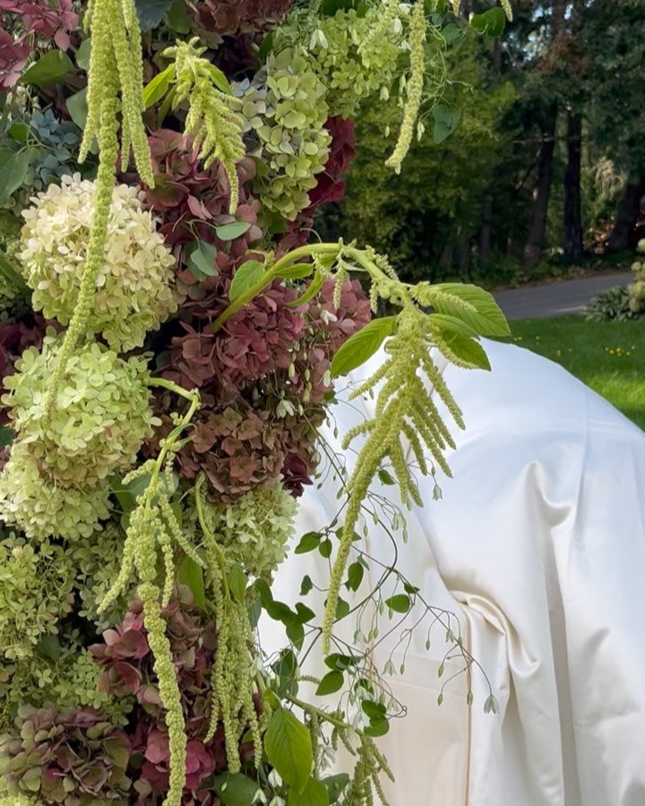 A moment for the arch π
Photographer: @carissamariephotography_
Design and Florals: @deerleapflorals
Makeup: @mariannemoore_makeup
Hair: @hairbytaylorbartel
Dresses and accessories: @thewhitepeony
Model: @frankmedown
Venue: @deerleap.estate