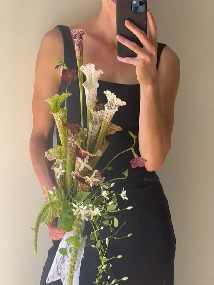 Carnivorous, but make it cute π
 
Inspired by California ICON @maxgilldesign and a serendipitous visit at the @jamesbaymarket 
Local sarracenia from @growninsaanich 
Gorgeous nicotiana & amaranth from @rockrose.farm