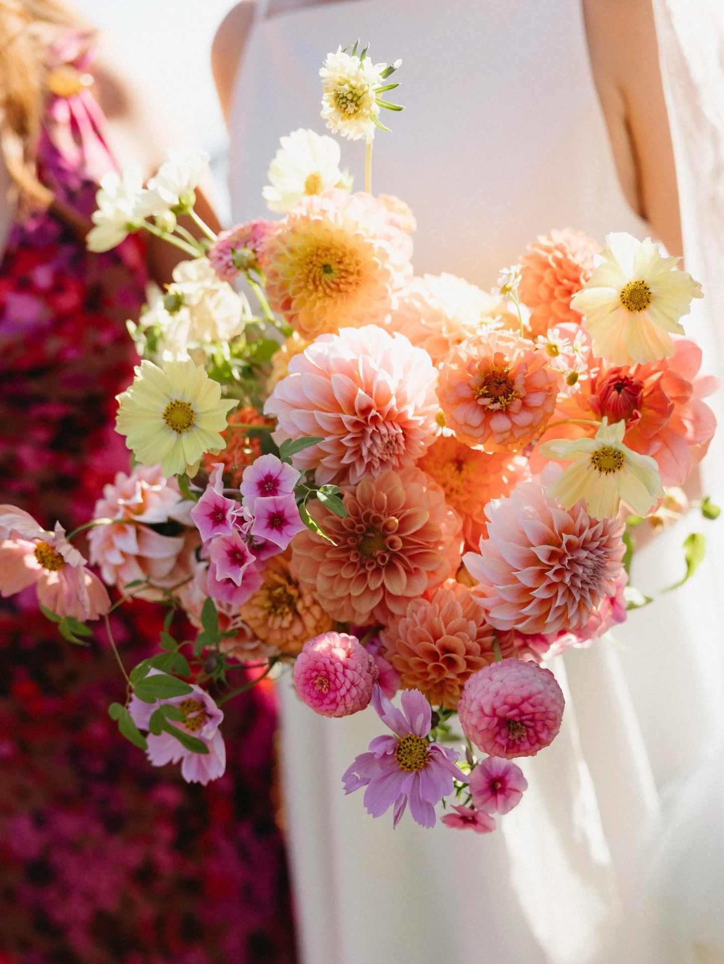 Vibrant sunset hues for our clients gorgeous oceanside celebration last September.

Recipe:
Dahlias
Cosmos
Zinnias
Phlox
Scabiosa
Feverfew
Clematis 

All locally grown by @rockrose.farm with some special touches from our garden (!)

Custom orders lik