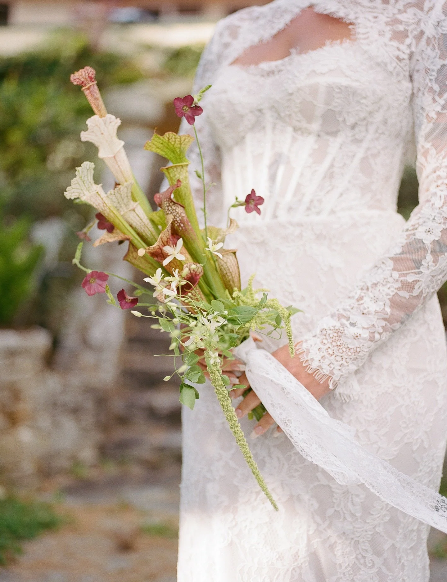 An encore for this bouquet because when @carissamariephotography_ sends closeups like this, how could I not?

Local sarracenia from @growninsaanich 
Gorgeous nicotiana &amp; amaranth from @rockrose.farm

The team:
Photographer: @carissamariephotograp