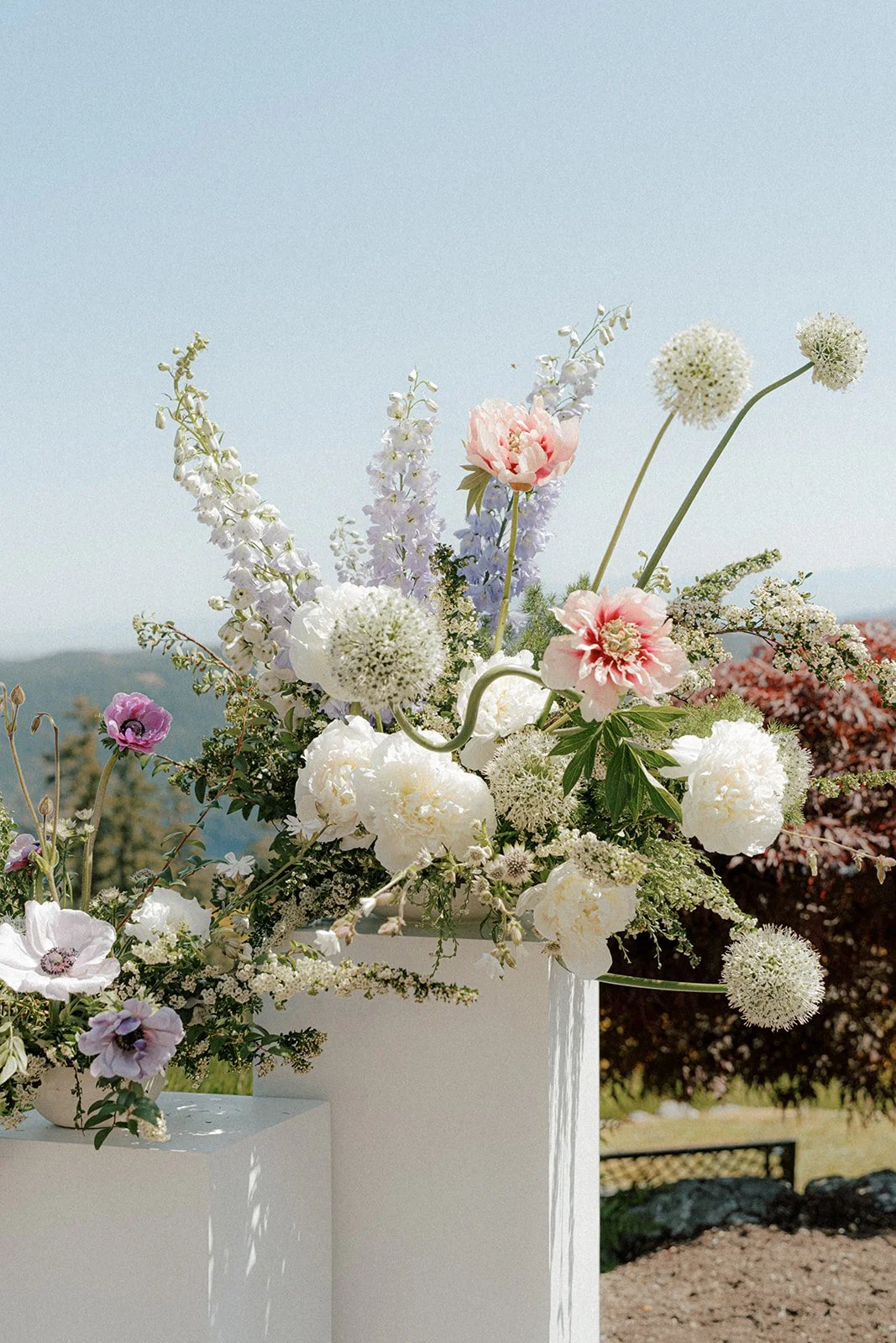 Amy Law Photography