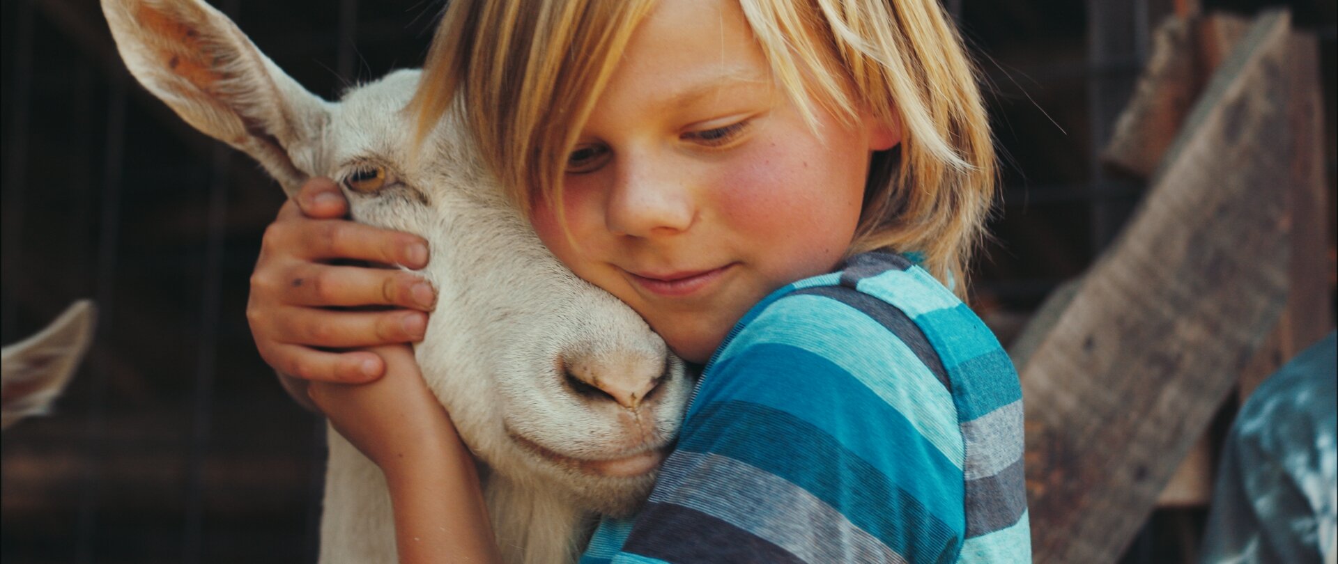 silas_goat_2.5.1.jpg