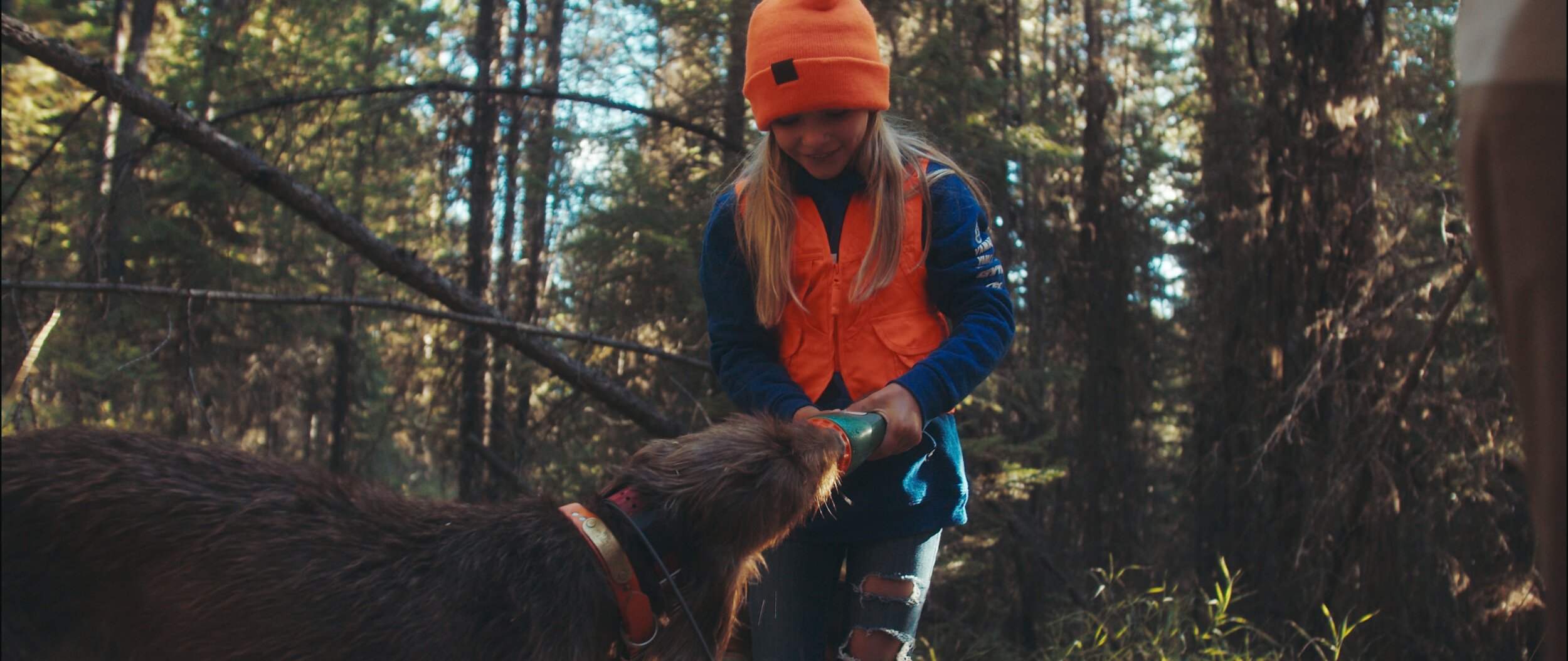 Untitled_2.12.1.jpg