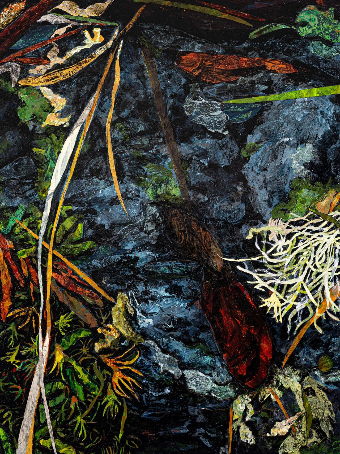 Julie Baer (Bellingham, WA)