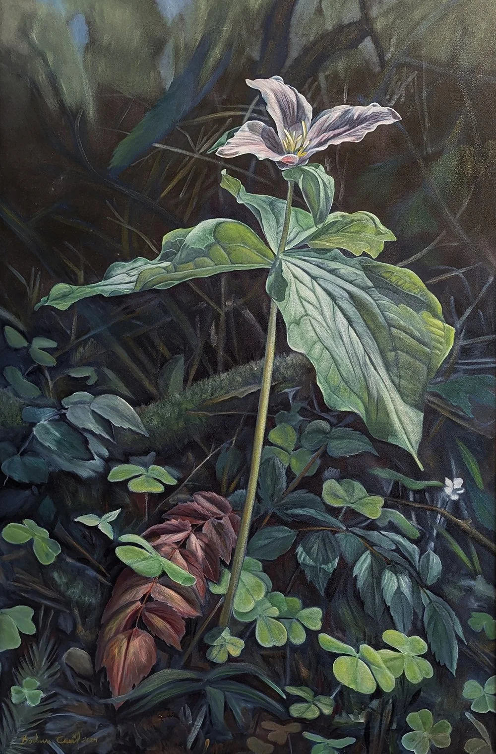 Barbara Counsil (Springfield, OR)