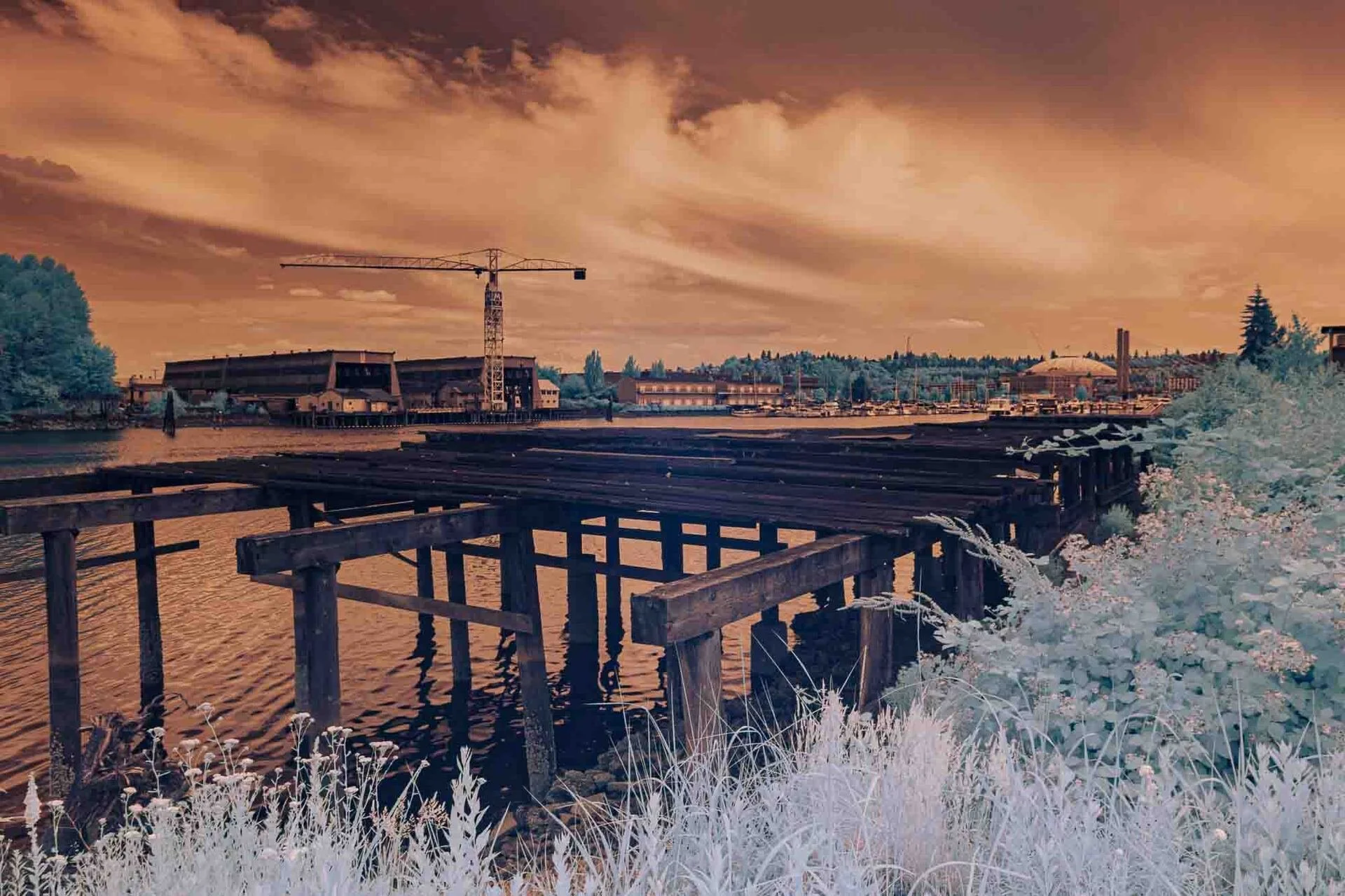 David Jacobs (Tacoma, WA)