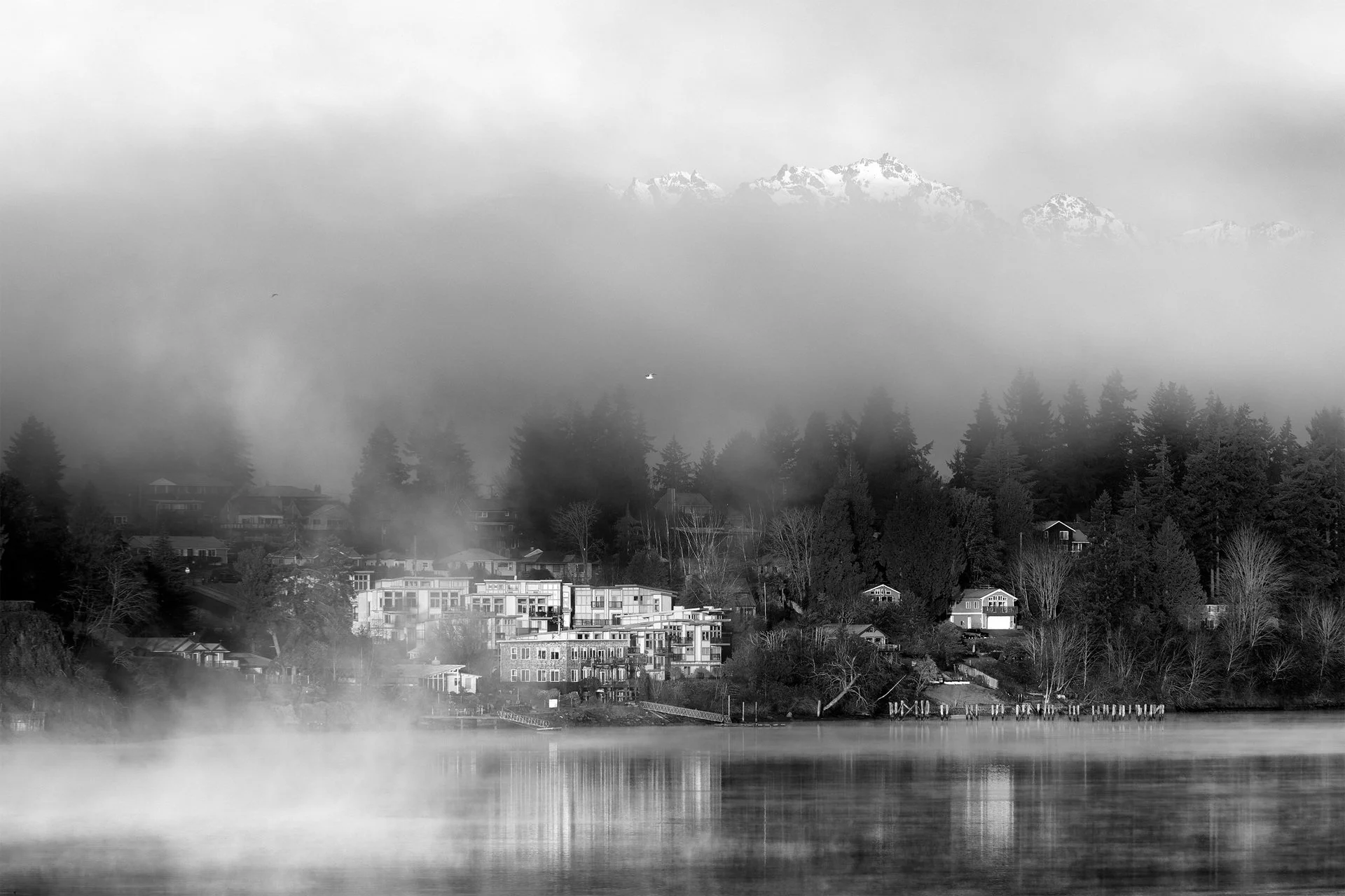 Don Turriaga (Port Orchard, WA)