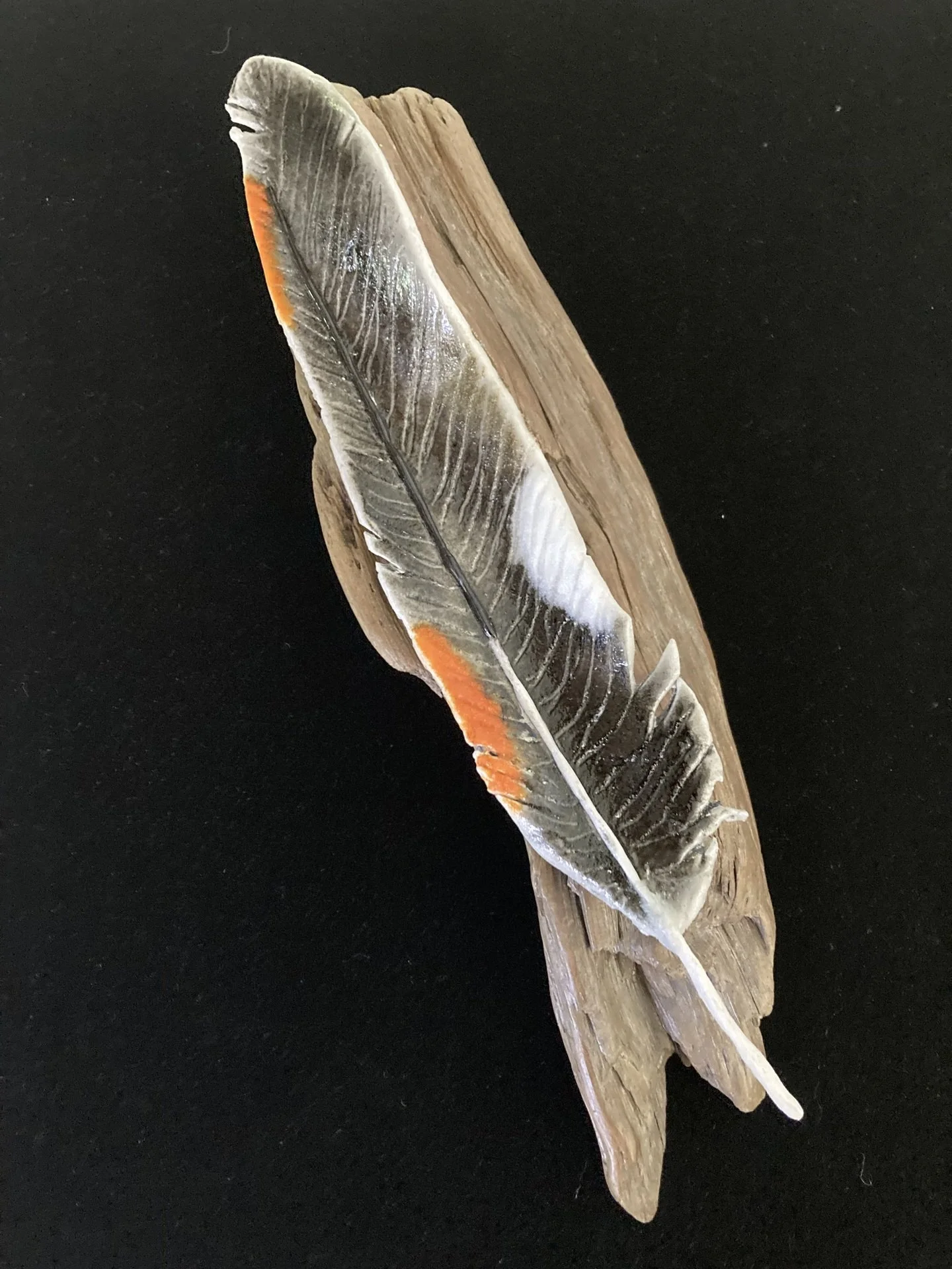 Peggy Shashy (Oak Harbor, WA)