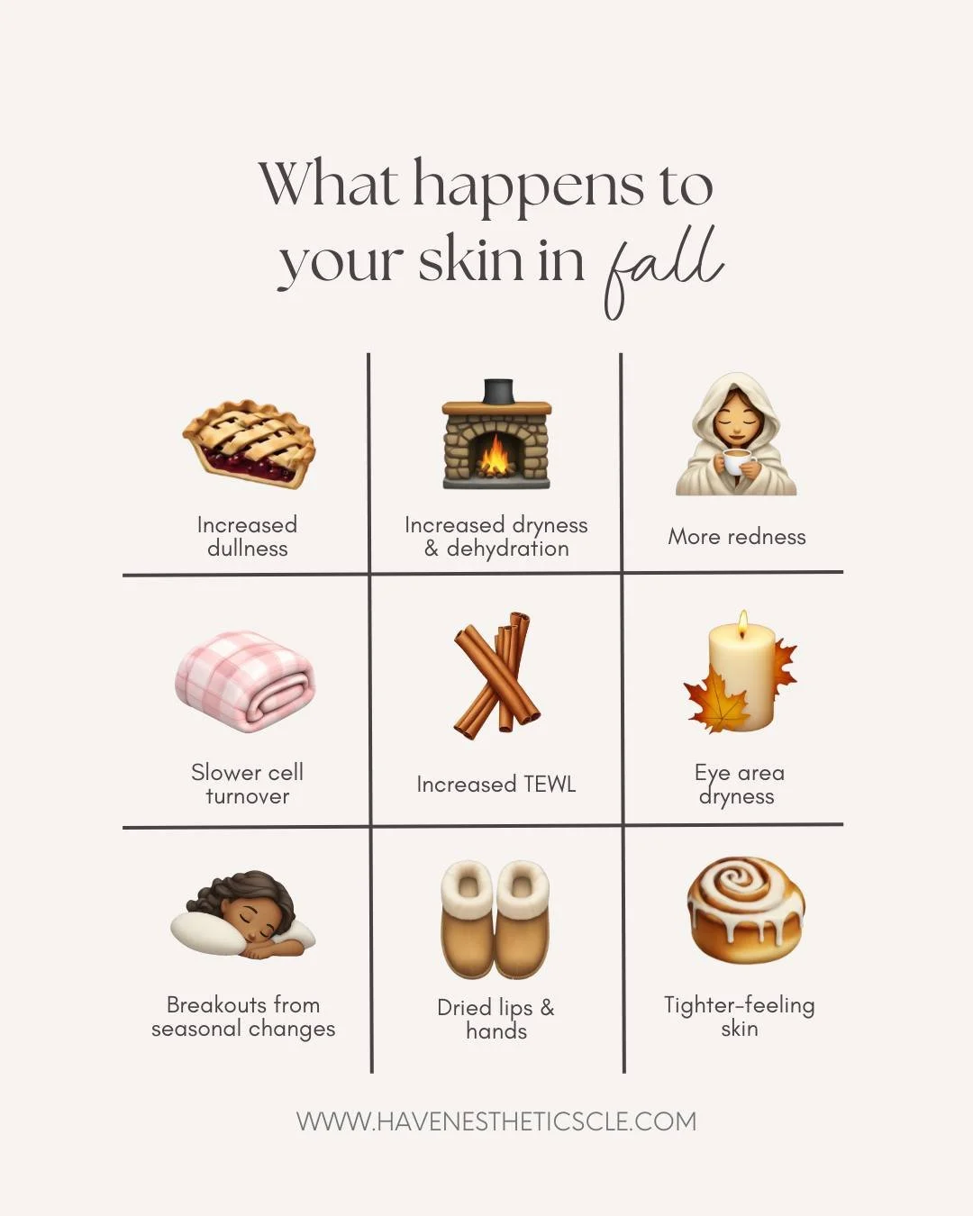 Your skin changes a lot as it gets colder outside, and this is why we recommend my clients to make seasonal changes to their skincare:

🍂Increased dullness - dead skin cells build up faster in drier weather, making skin look flat and lackluster.

🍂