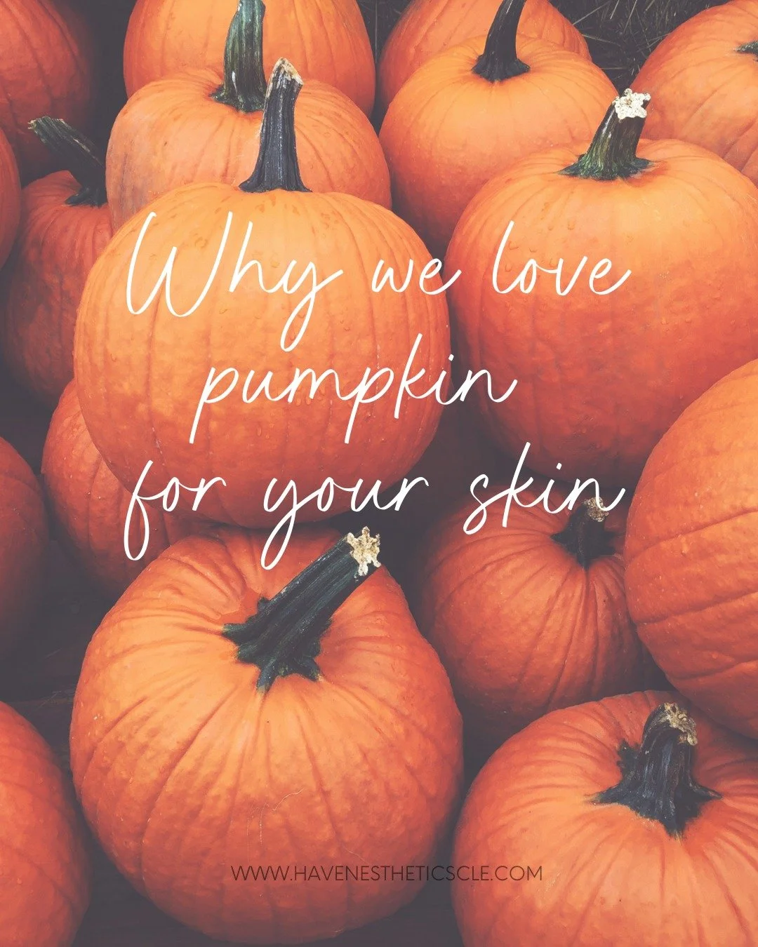 Pumpkin enzymes are packed with vitamins A + C, which brighten, smooth, and protect. 🎃

Perfect for:
🧡Dullness after summer
🧡 Fine lines
🧡 Congested pores

Bonus &mdash; it smells like fall in a jar!  Book your Custom Facial and ask for the pumpk