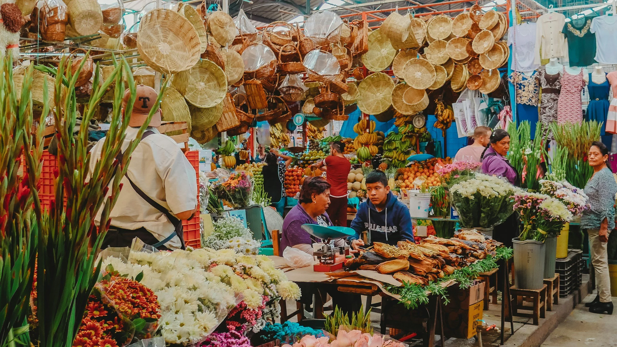 Food for the Future