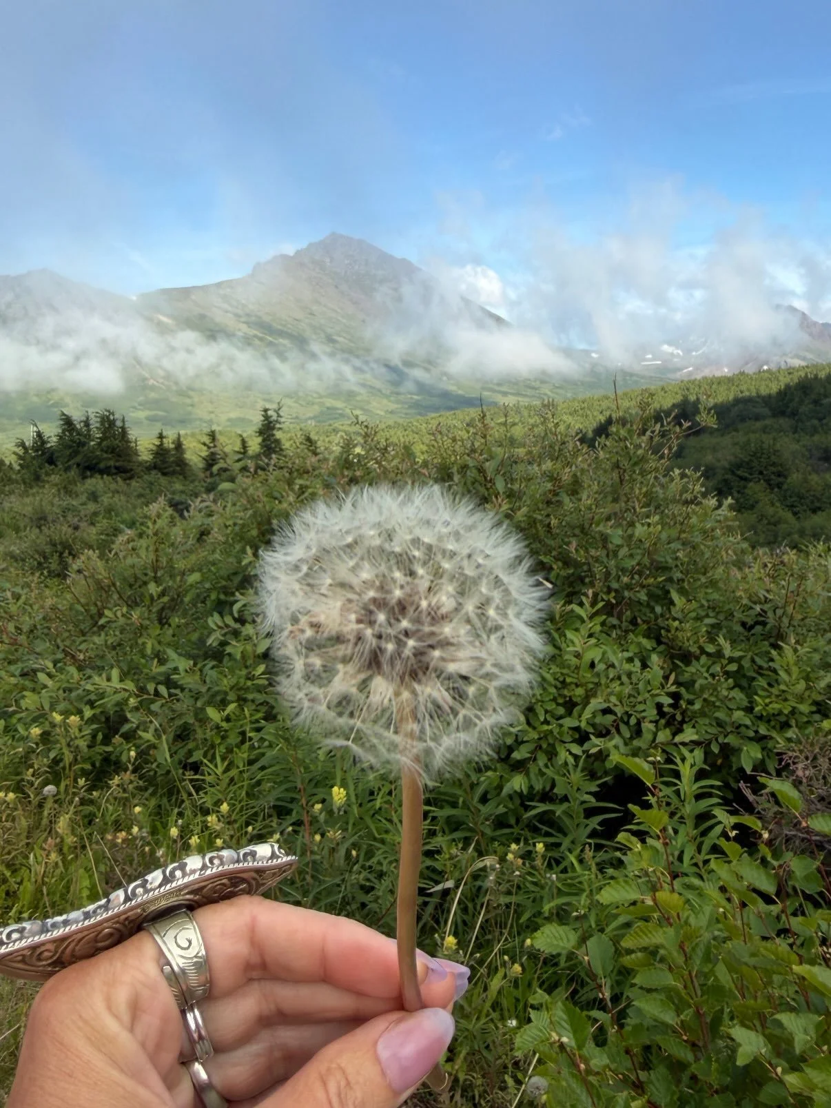 Sometimes in the center of our fragile lives we find the most profound beauty. The beauty that like every other kind, does not fade away with time but instead only grows. We remember the simple pleasures of sheer freedom and we become overwhelmed by 