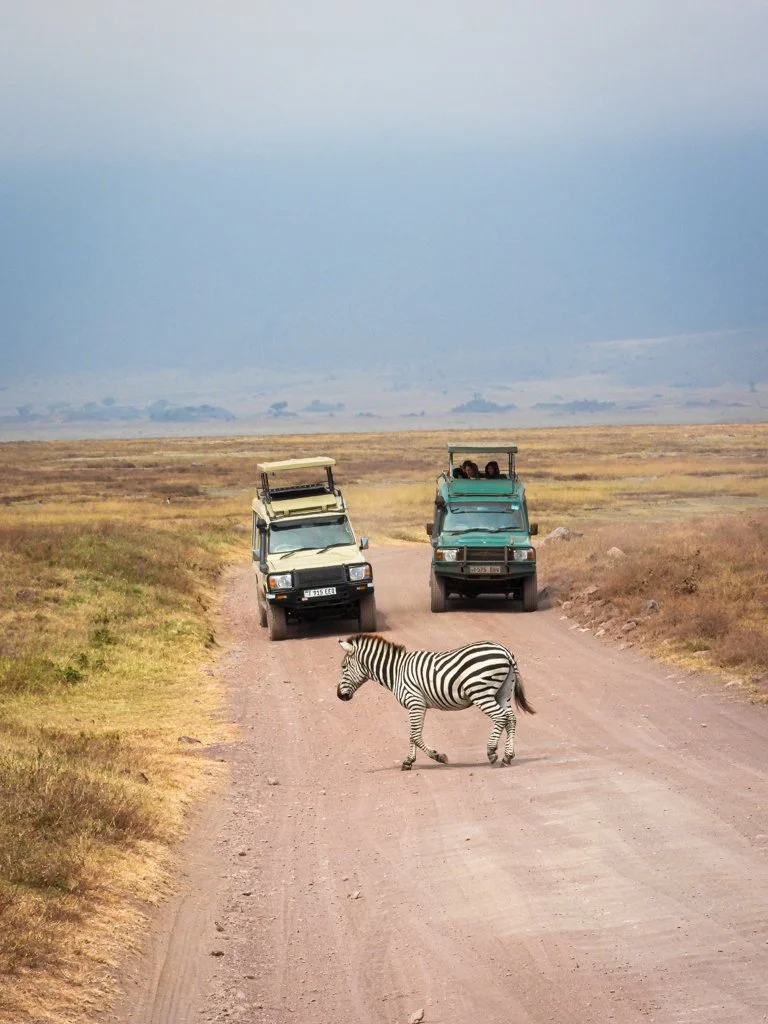 On Safari in Tanzania