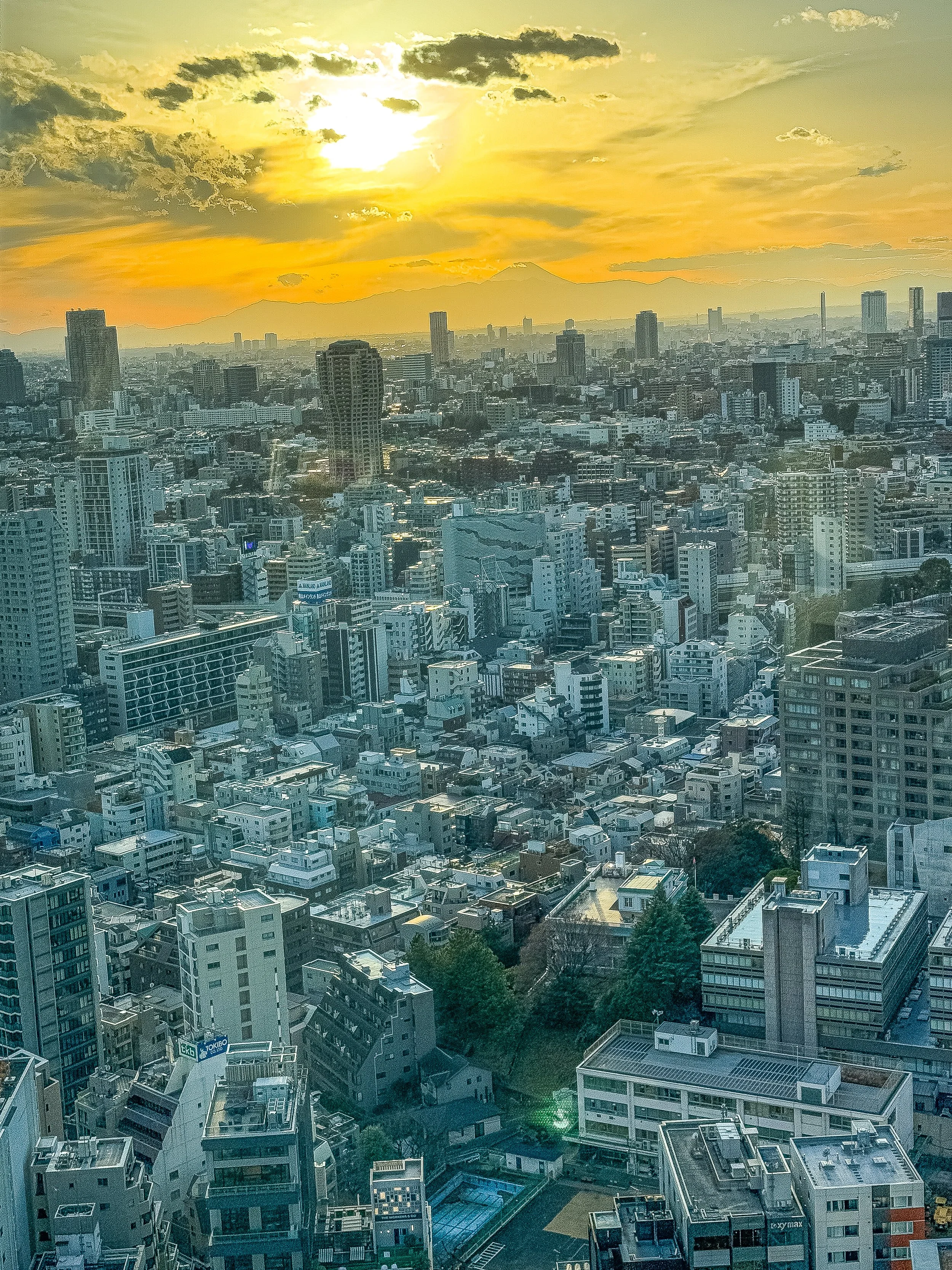 Tokyo: So Much to See, So Little Time