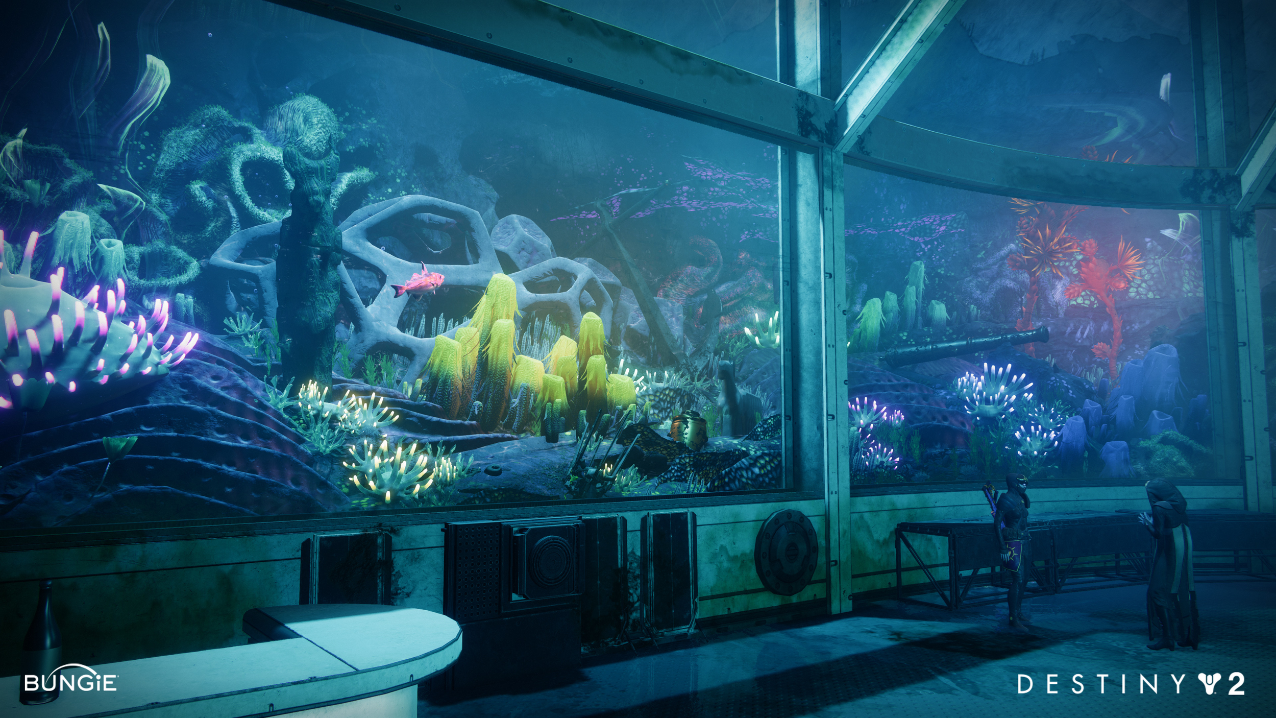 Bring home your prize catches to collect rewards, and display them in your aquarium.