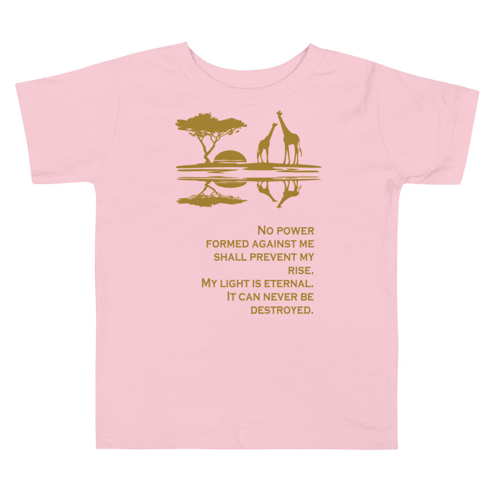 toddler-premium-tee-pink-5fea7482db6e7.jpg