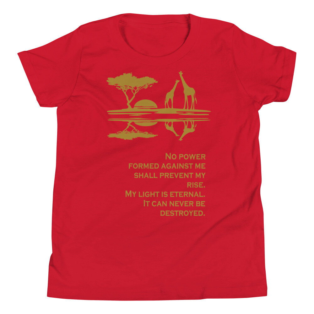 youth-premium-tee-red-5feb3bed638e2.jpg